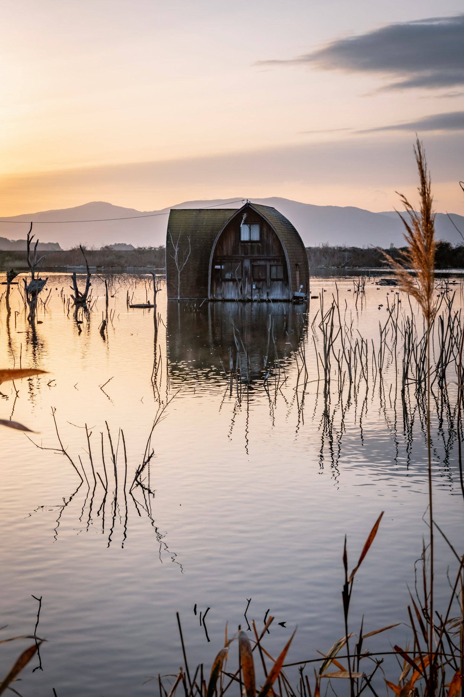 photo-5qsbDAGbqUmTUjyPfhNU-image