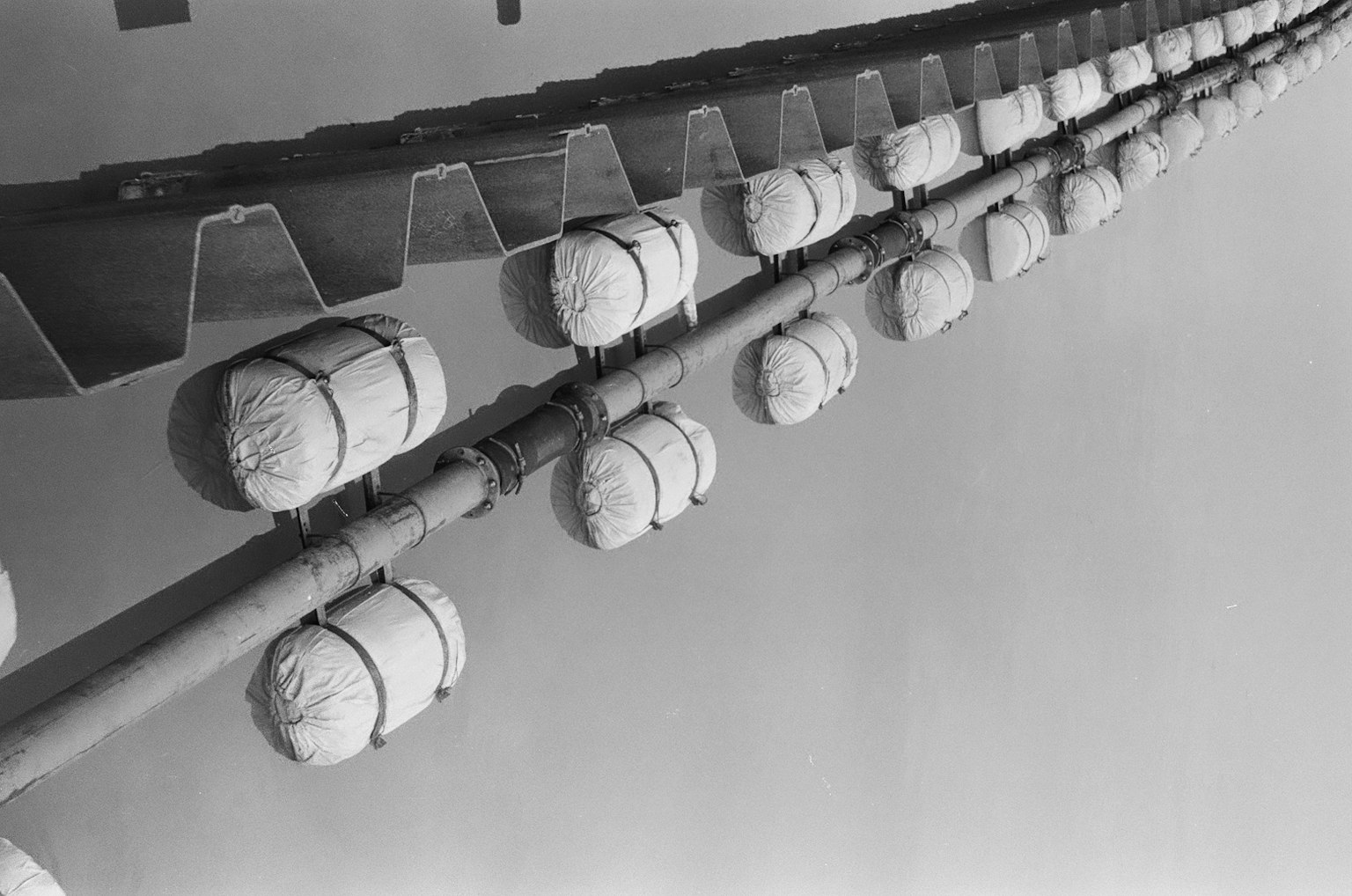 photo-5rGCJlmAtvLTNqmElSEP-image