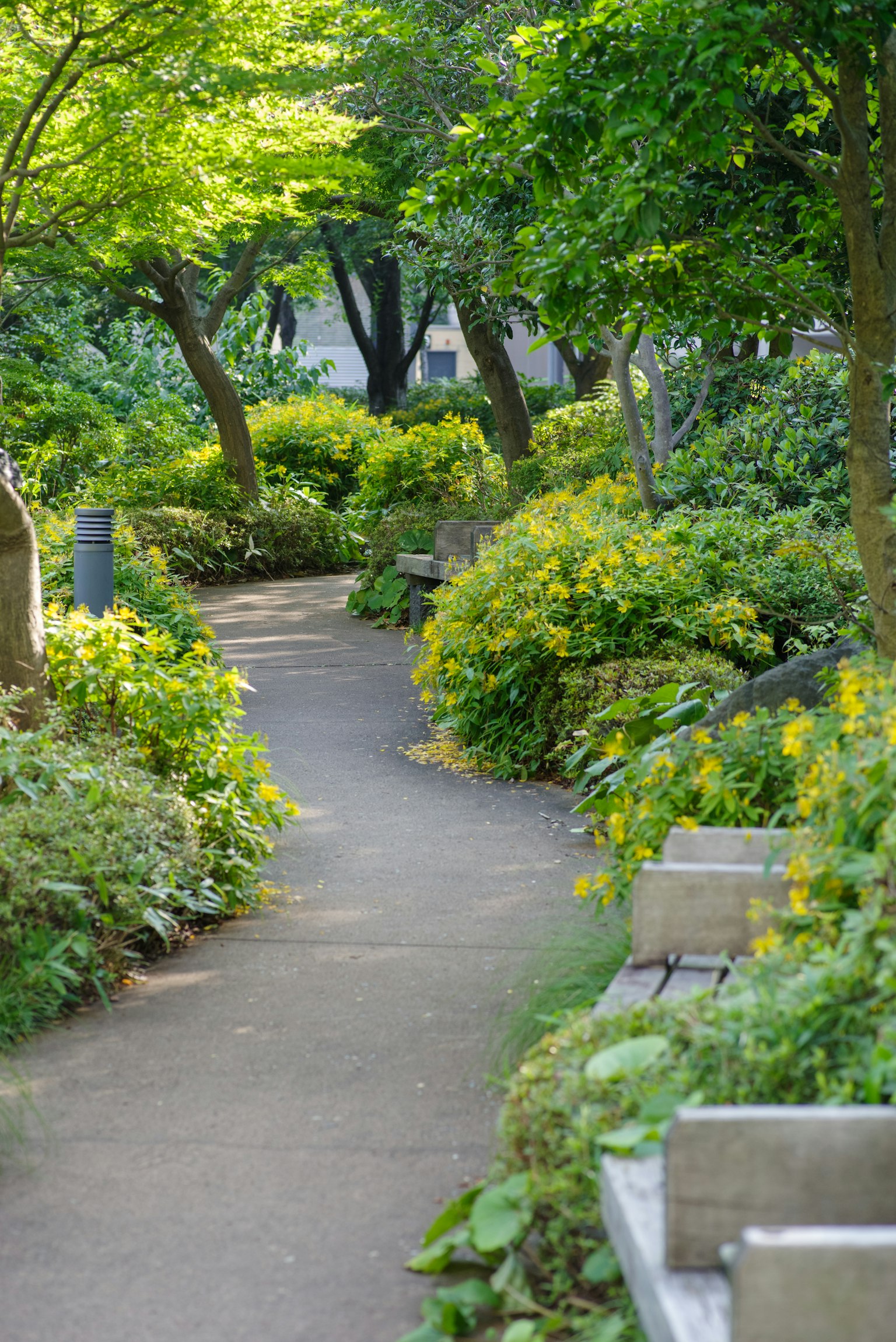 Sendero verde en un parque con flores vibrantes