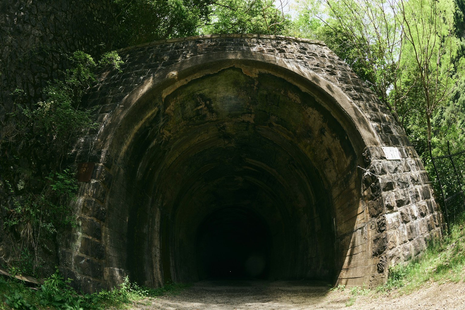 Arched entrance of an old tunnel surrounded by lush greenery