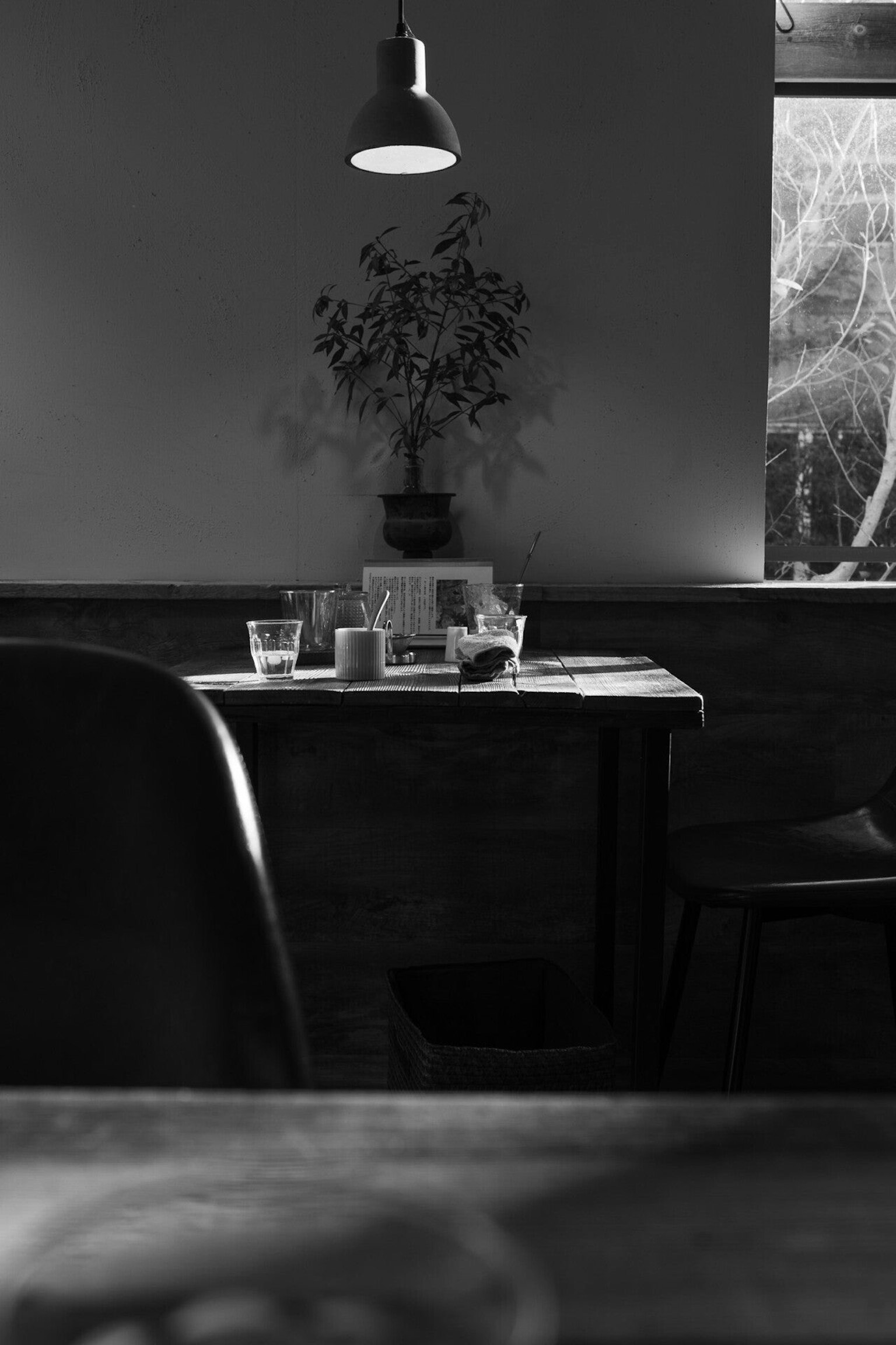 Intérieur de café en noir et blanc avec une table dressée de boissons et une plante