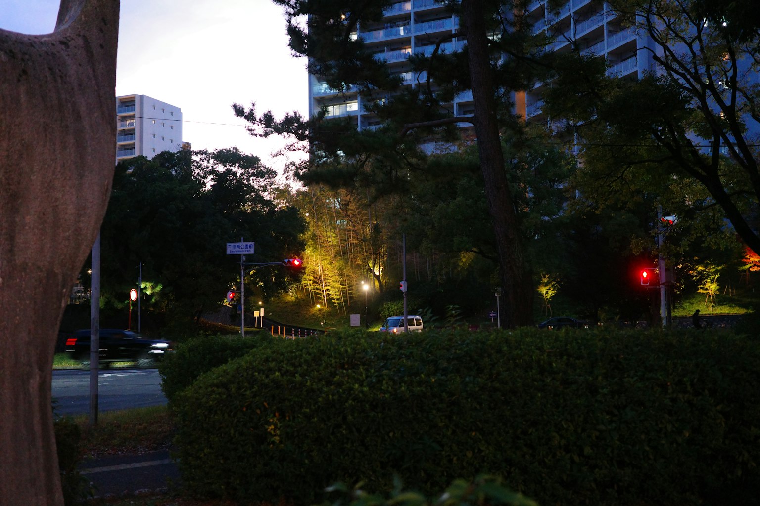 Paesaggio urbano notturno con semafori edifici alberi e lampioni