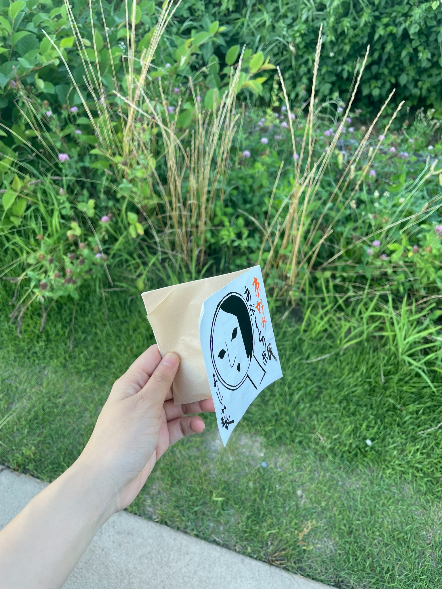 Una mano sosteniendo un paquete con un diseño de cara y plantas verdes al fondo