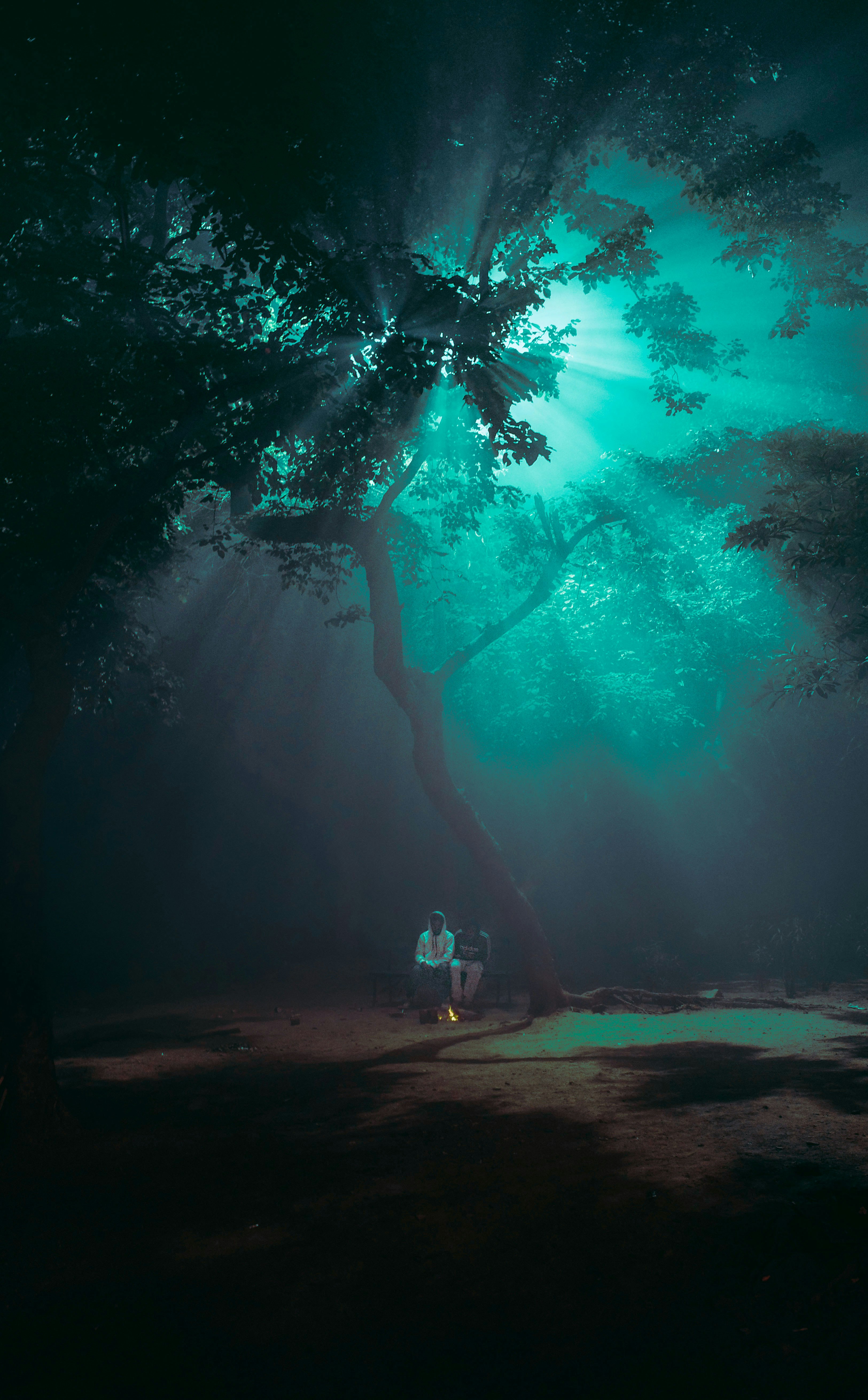 une personne marchant sous un arbre avec des effets de lumière bleue façon sous-marin