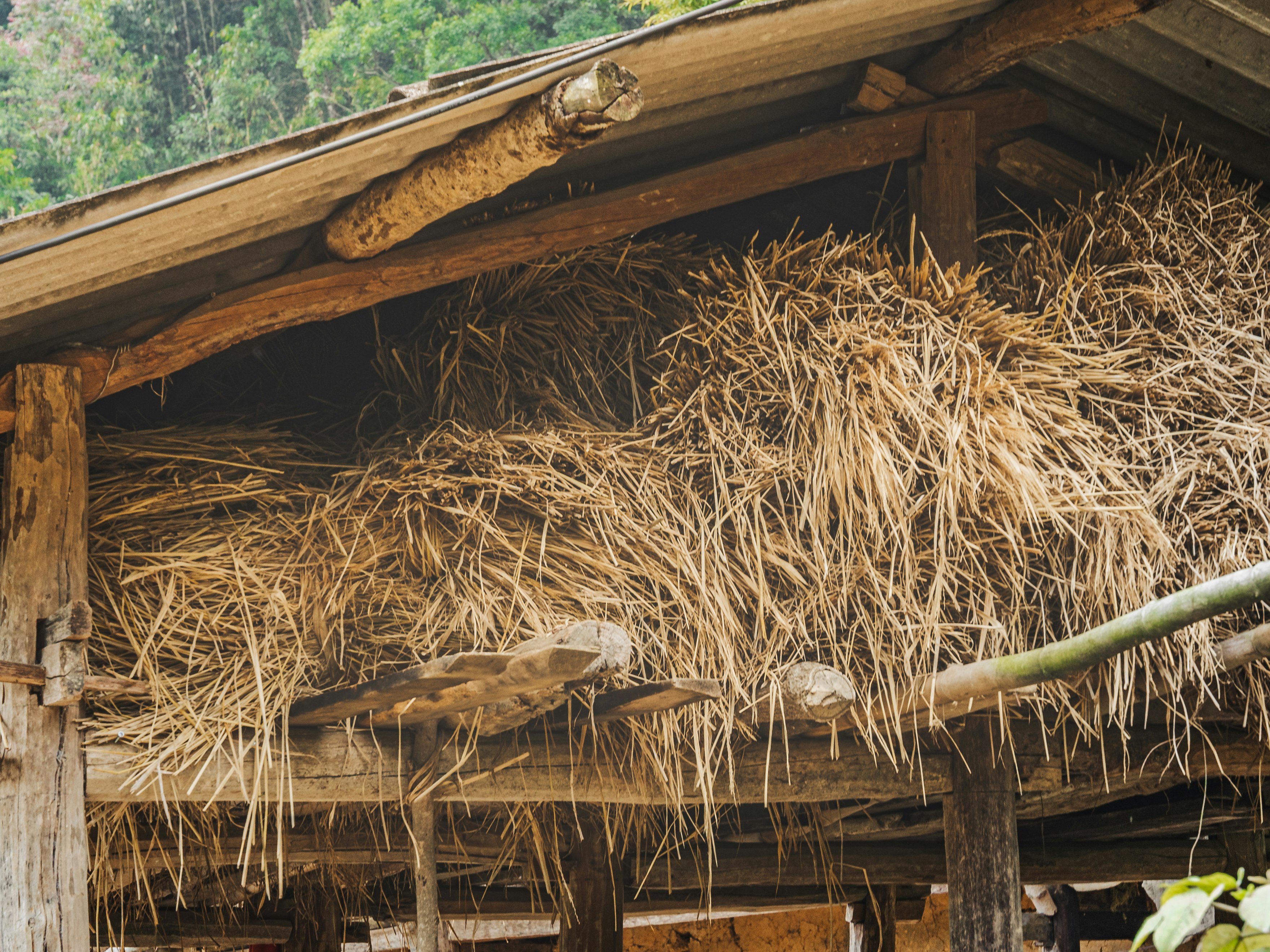 藁が敷かれた小屋の軒先