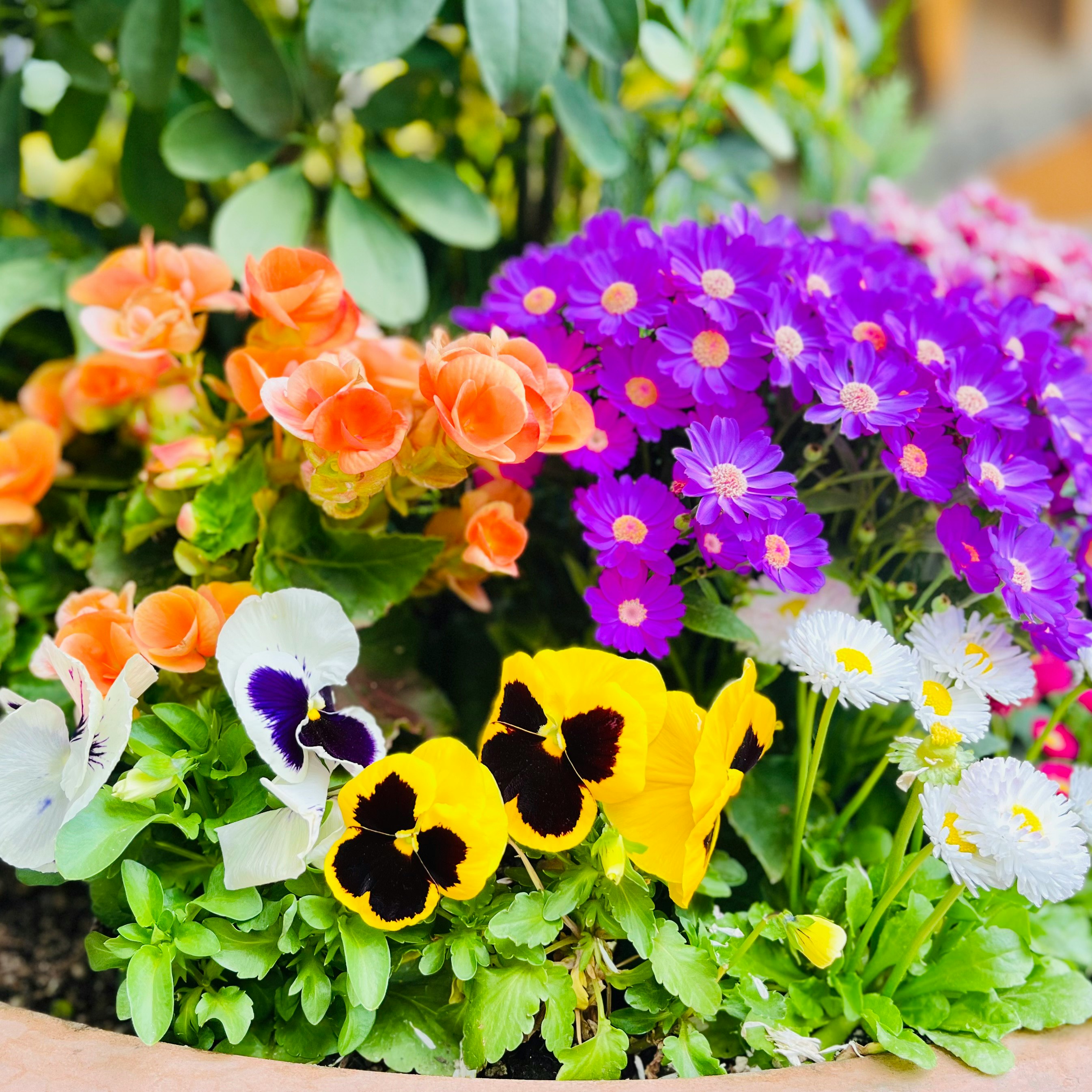 色とりどりの花束が並ぶ花壇の前景