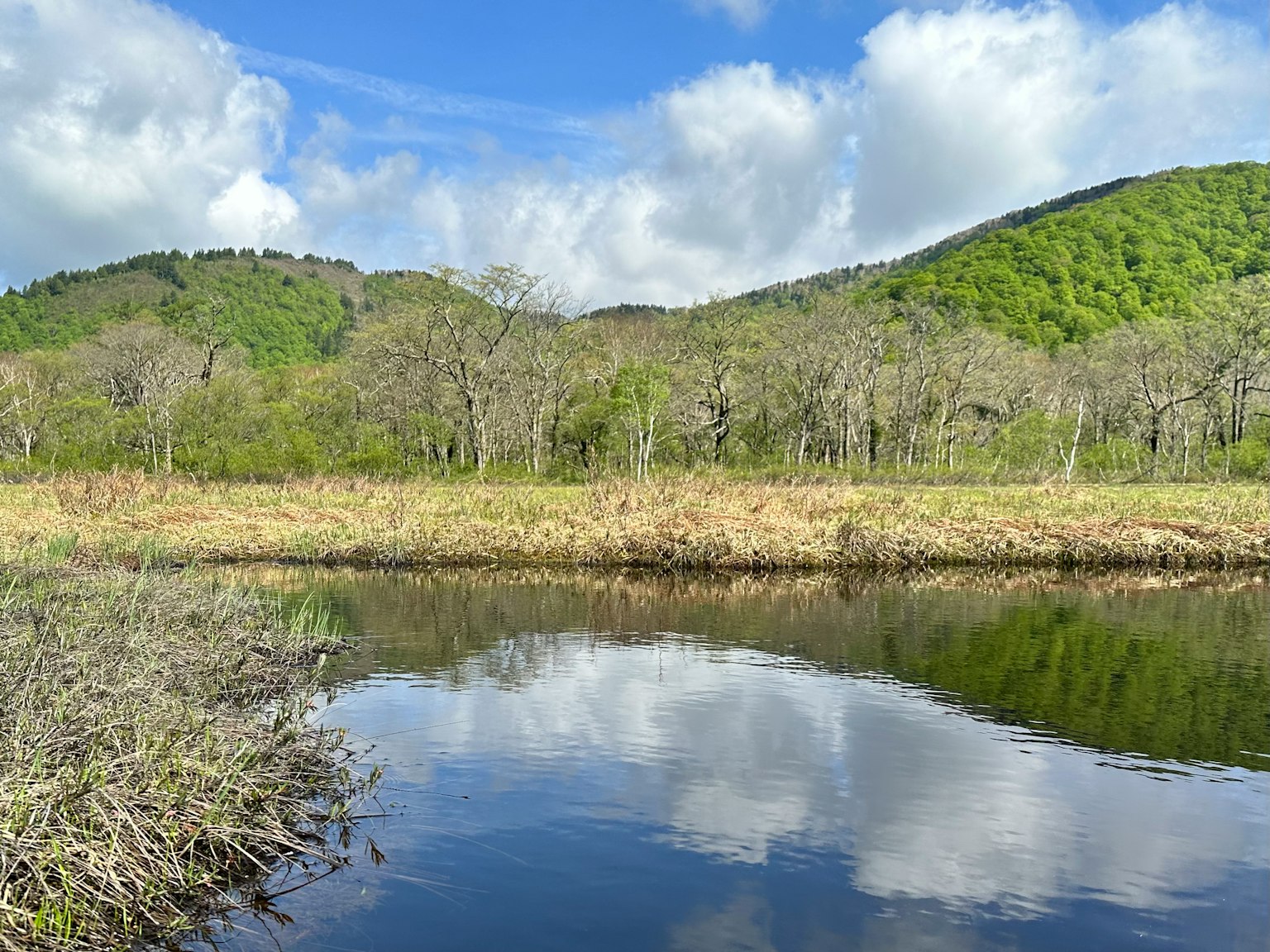 Surface d'eau tranquille reflétant des collines vertes et un ciel bleu
