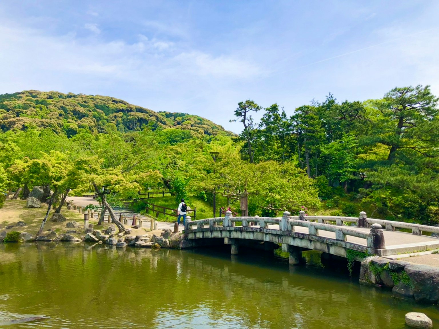 Steinbrücke über einen ruhigen Teich in einem üppigen Park
