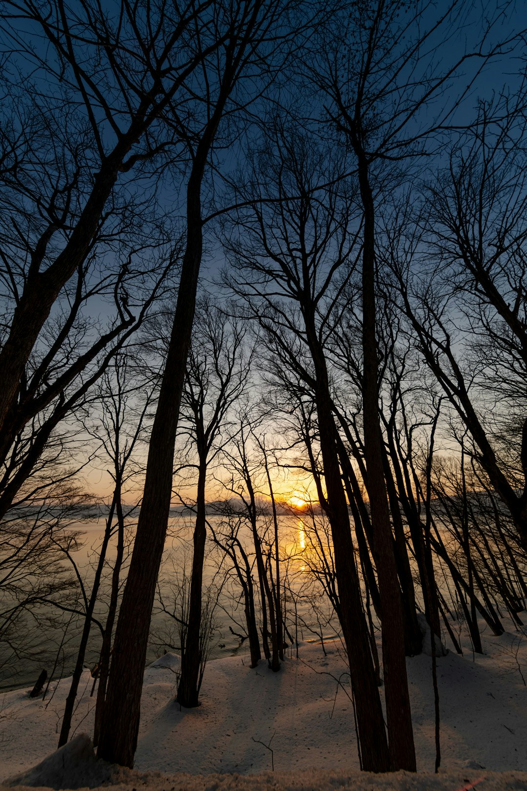 Arbres en silhouette contre un coucher de soleil d'hiver se reflétant sur le lac