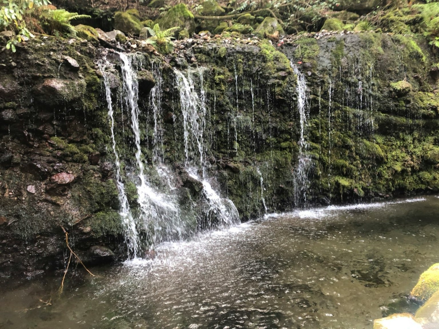 A tranquil scene of a small waterfall cascading over mossy rocks