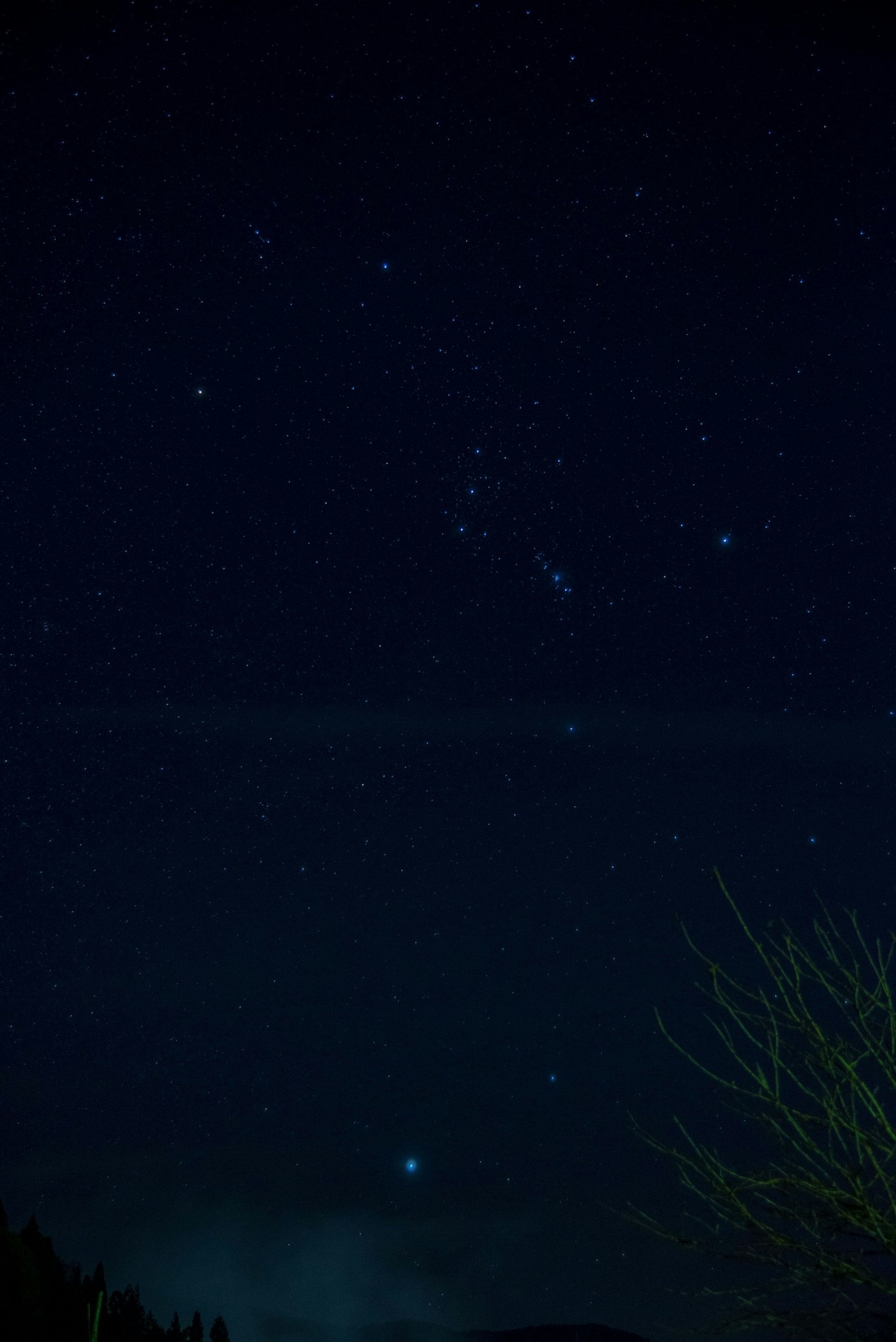 Cielo notturno stellato con costellazioni visibili tra cui Orione