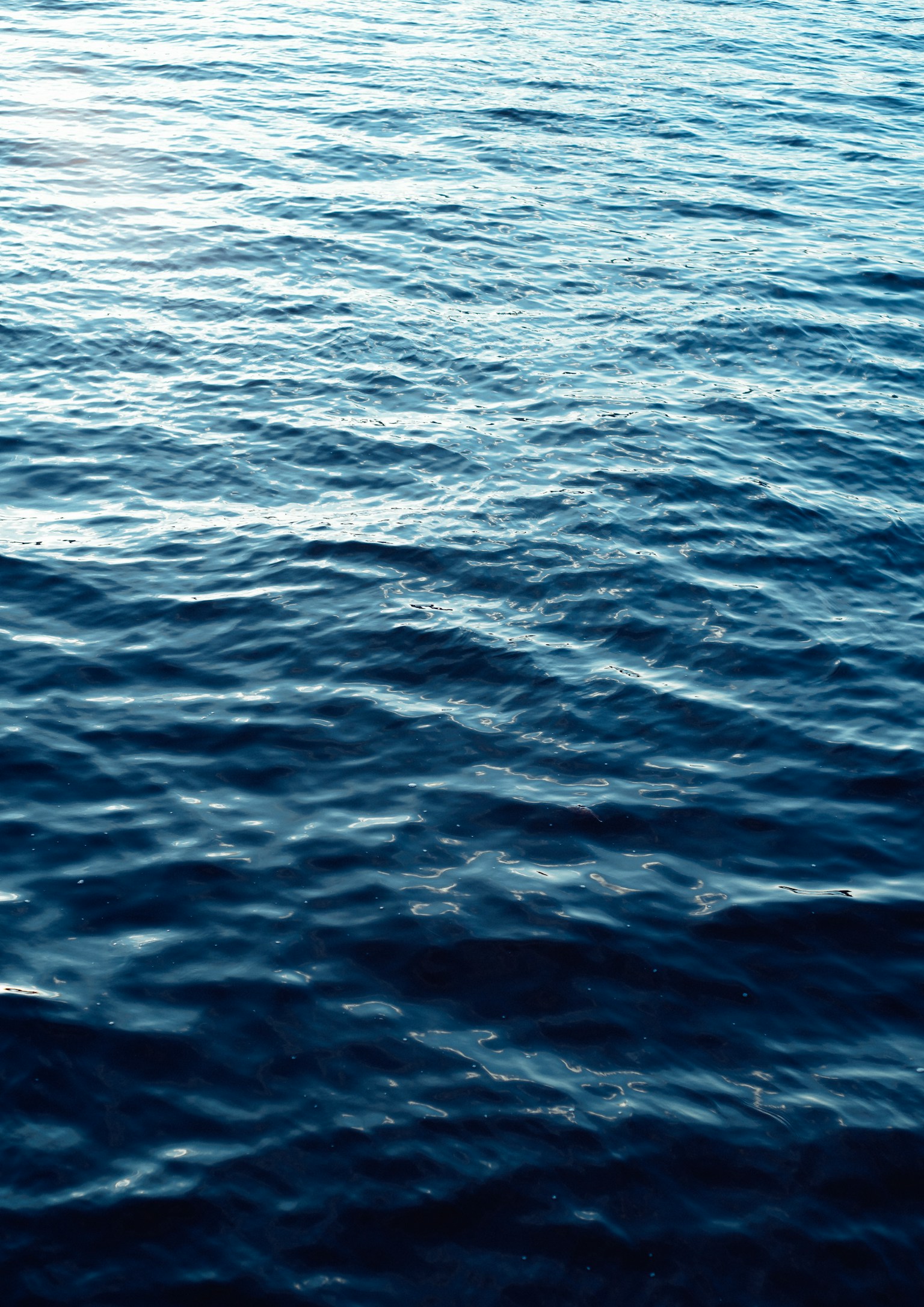 photo-5vZnSDAEeVPiBcH9Zdn3-image