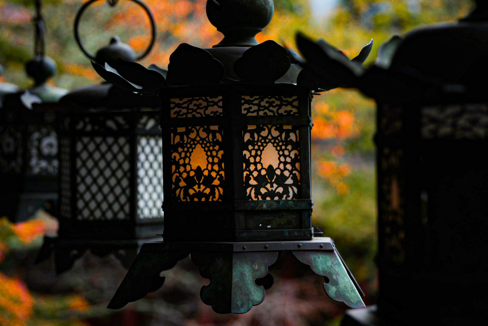 紅葉の庭で灯篭が並ぶ風情のある景色