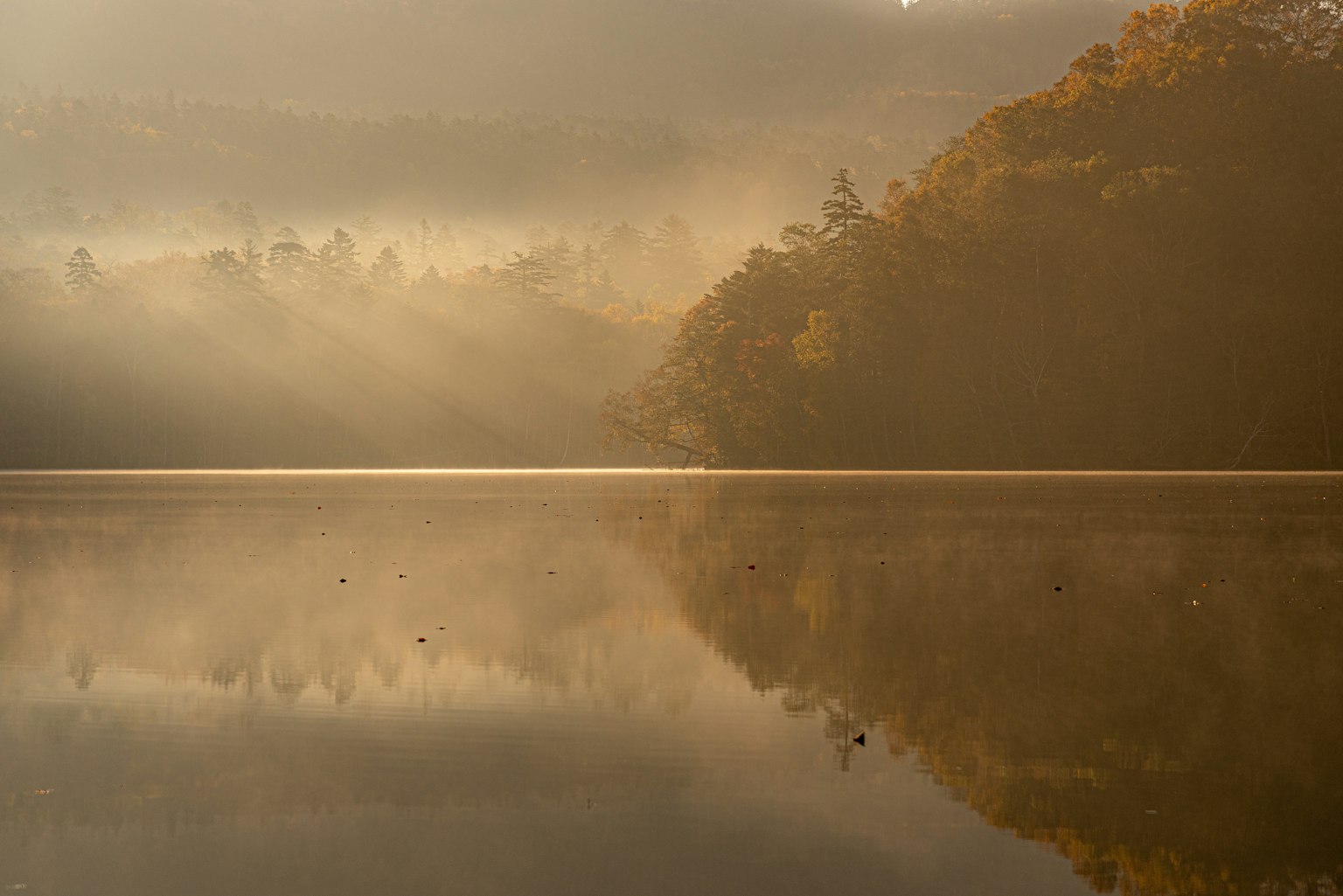 Lago tranquilo reflejando el follaje de otoño y un paisaje brumoso