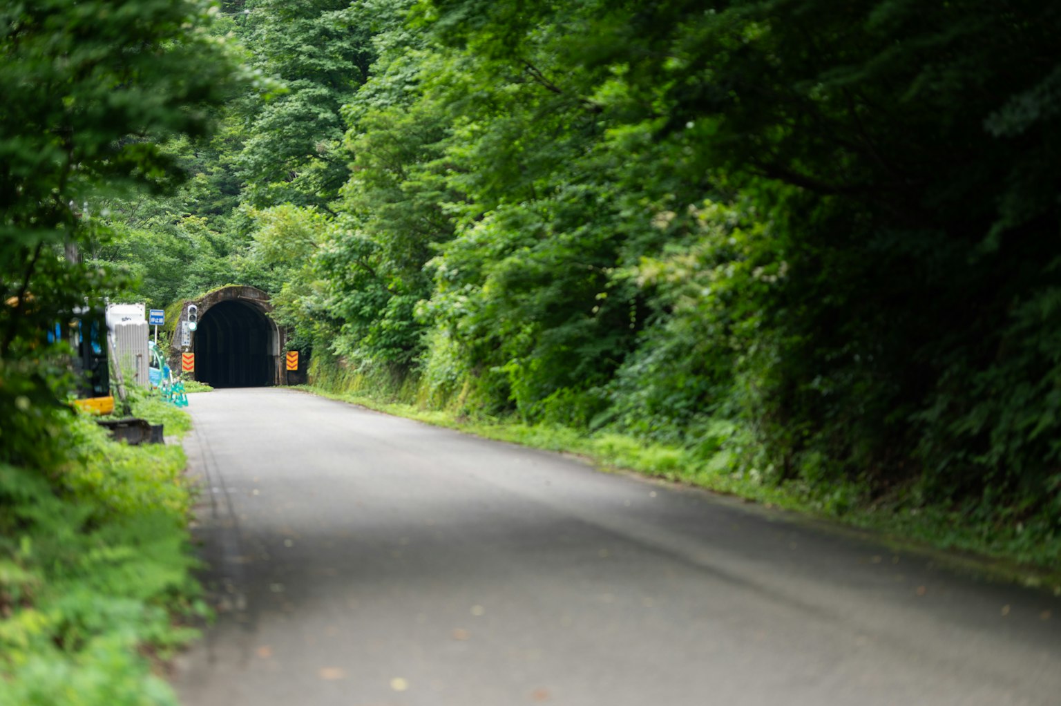 Une route bordée de verdure menant à l'entrée d'un tunnel