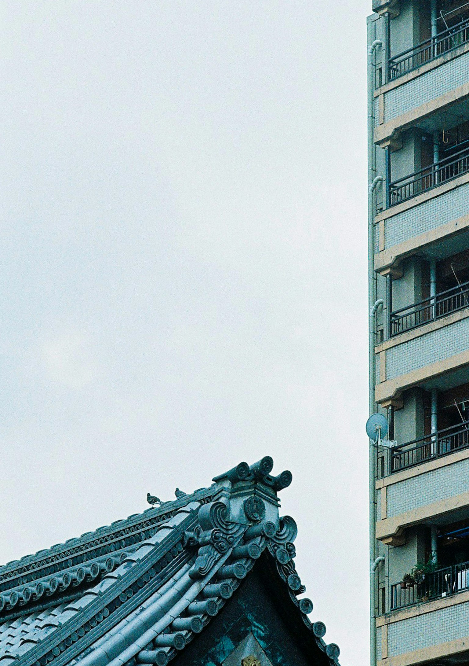 Contraste entre un toit japonais traditionnel et un bâtiment moderne