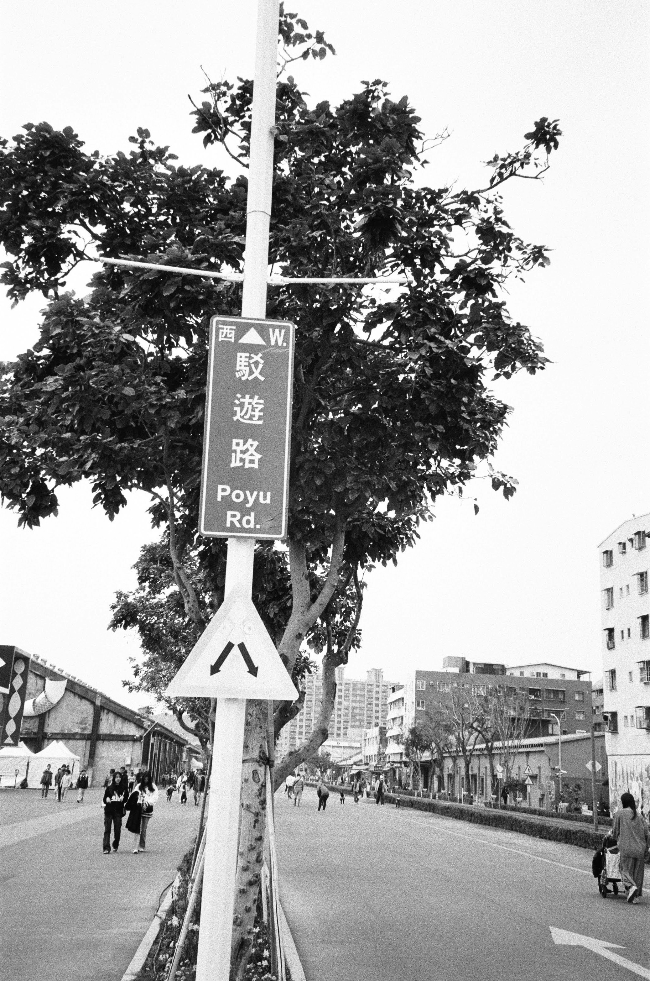 木々に囲まれた歩道と「Poyu Rd.」の道路標識のある街路