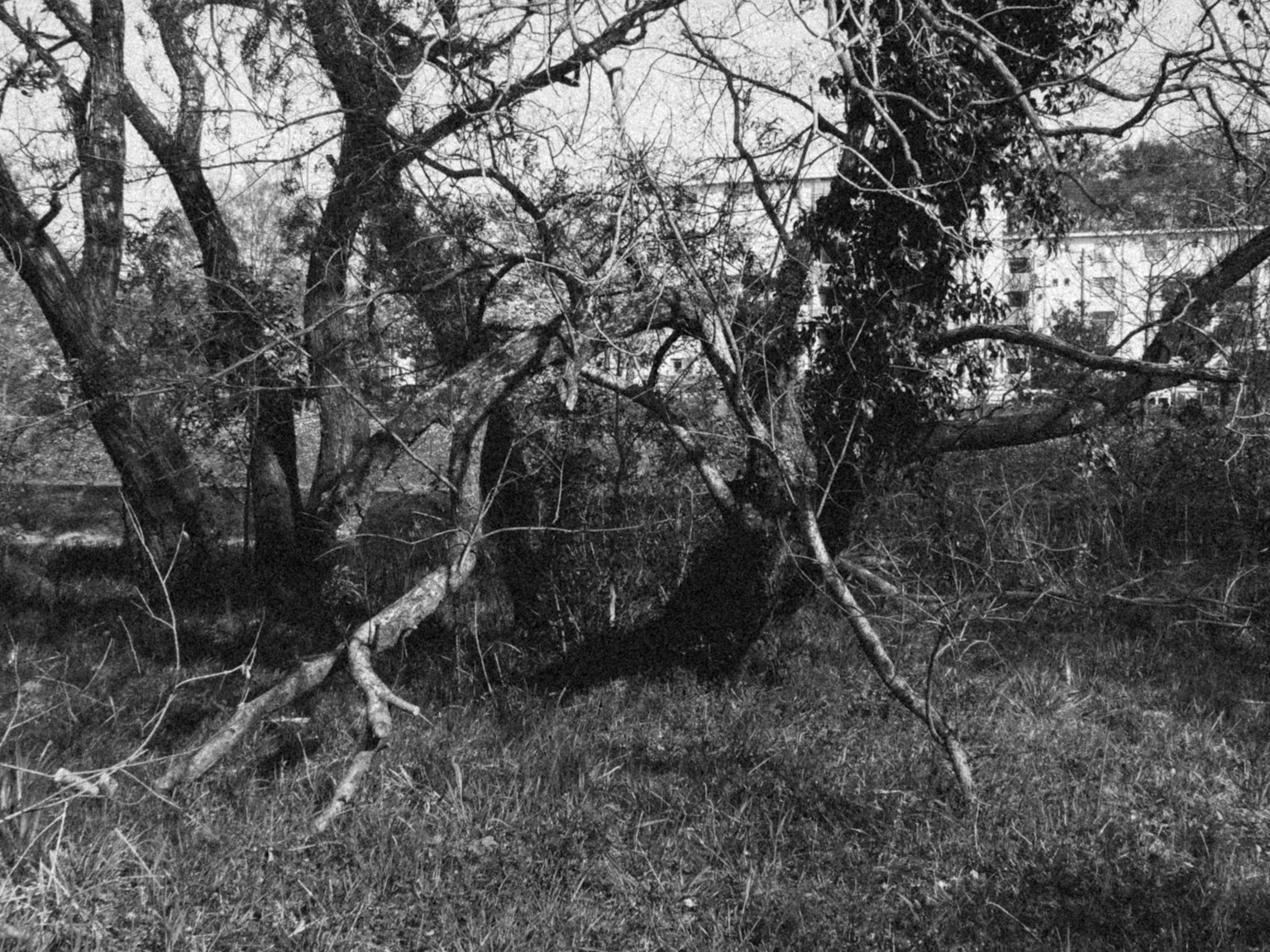 photo-5xwm7zLcjlbR6wHLMyXn-image