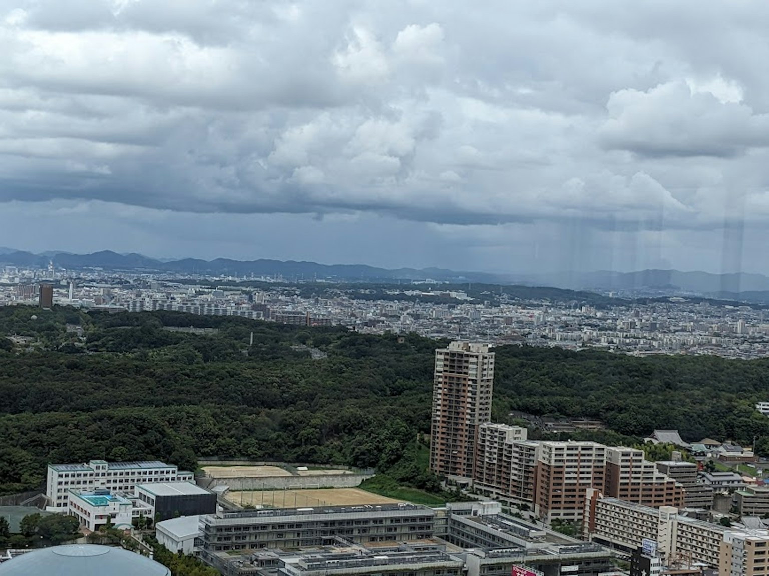Paysage urbain avec des bâtiments élevés et une végétation luxuriante