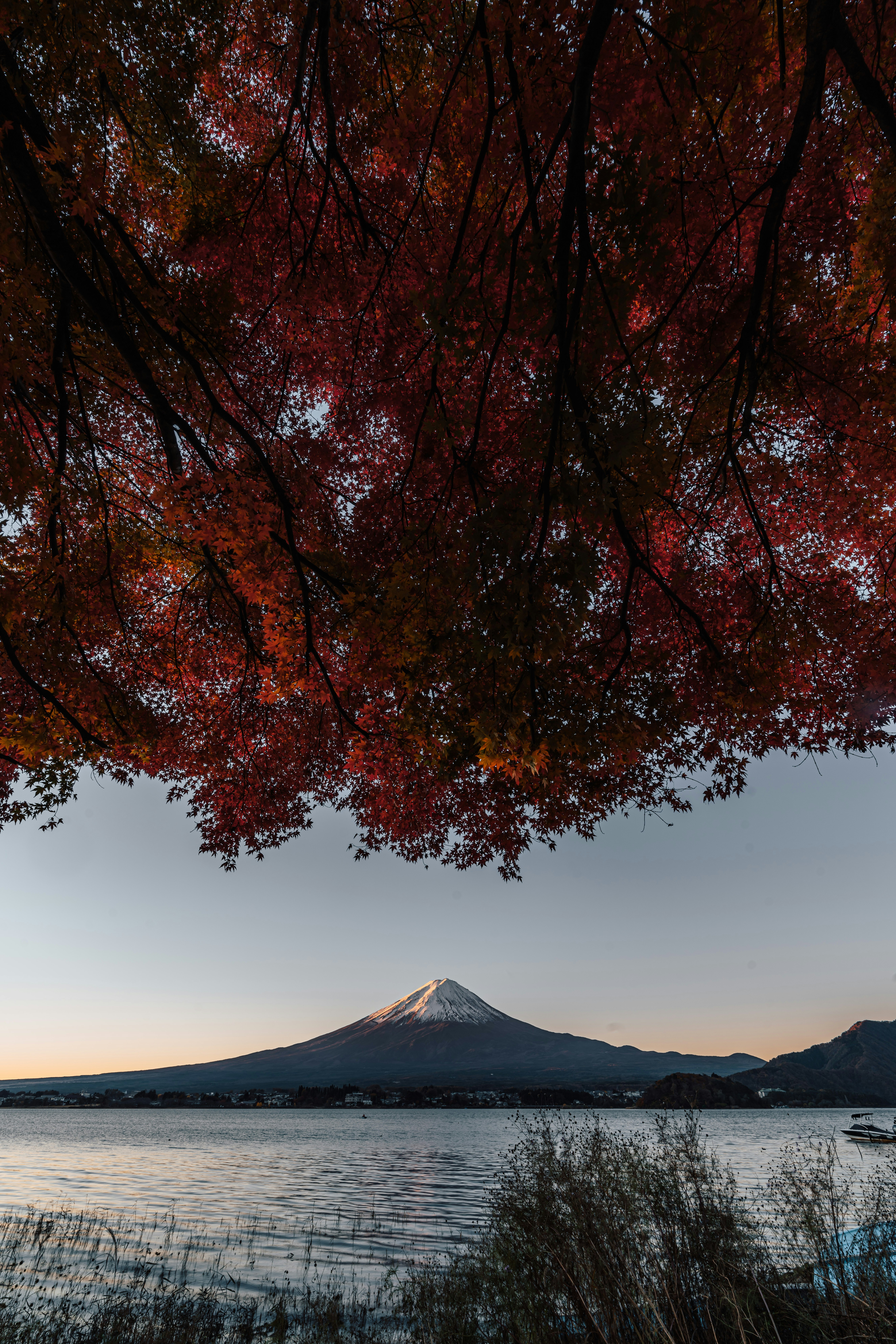 夕暮れの湖畔に浮かぶ富士山と紅葉の木々
