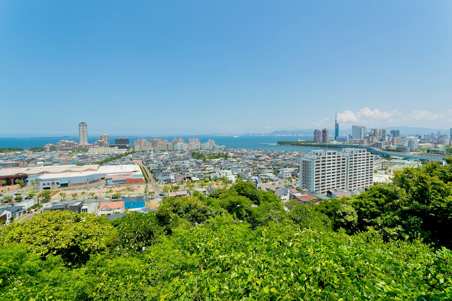 ทิวทัศน์พาโนรามาของเมืองใต้ท้องฟ้าสีฟ้า มีต้นไม้เขียวขจีและทิวทัศน์ทะเล
