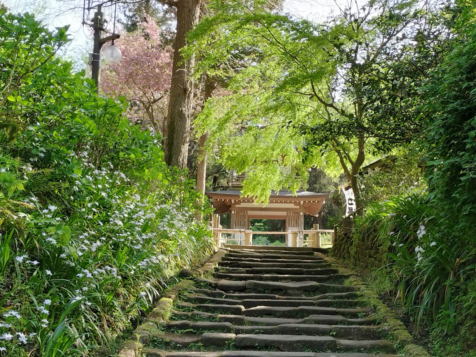 Un escalier verdoyant mène à une porte entourée d'arbres et de fleurs