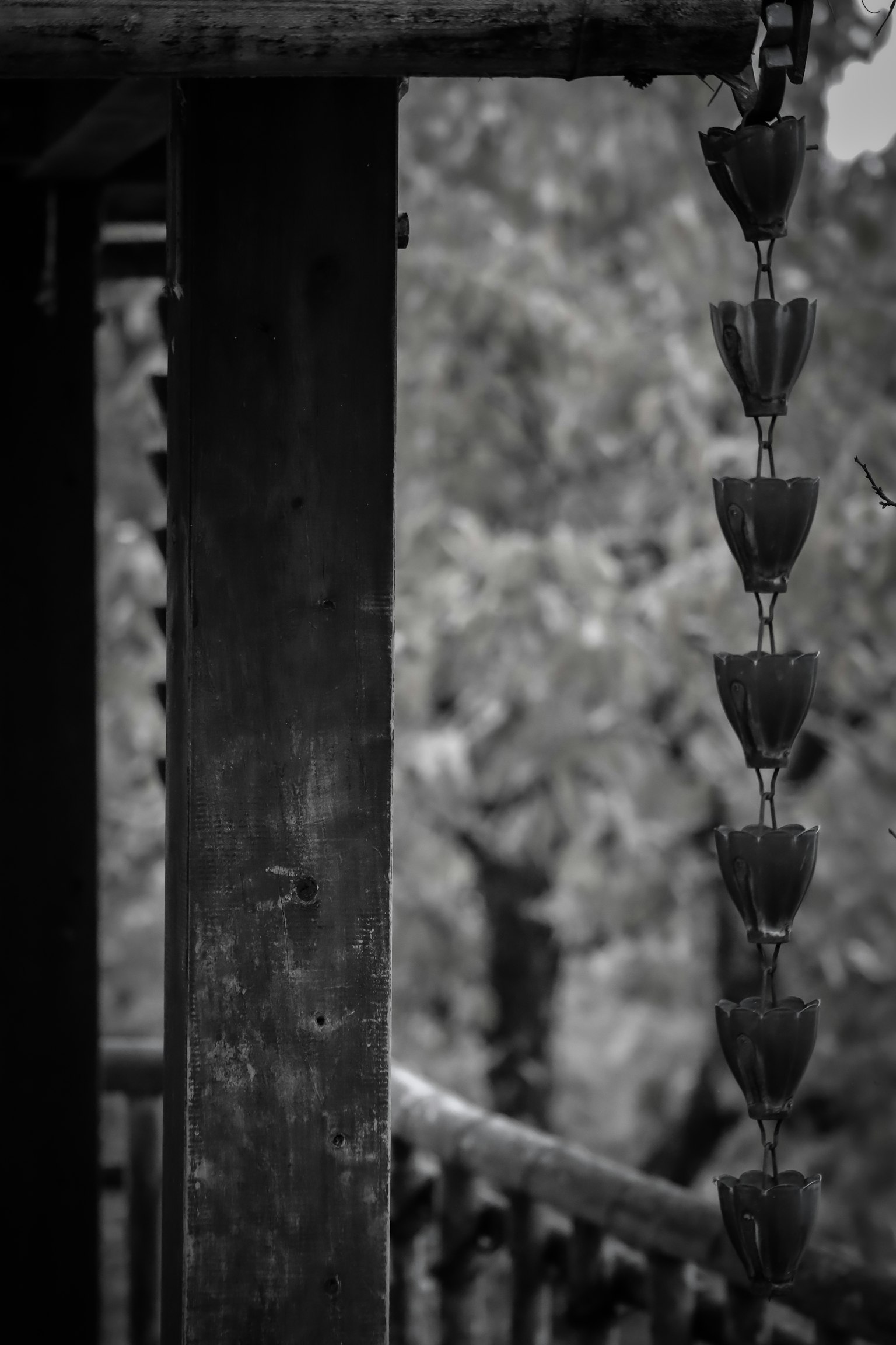 Imagen detallada de una cadena de lluvia japonesa en fondo blanco y negro