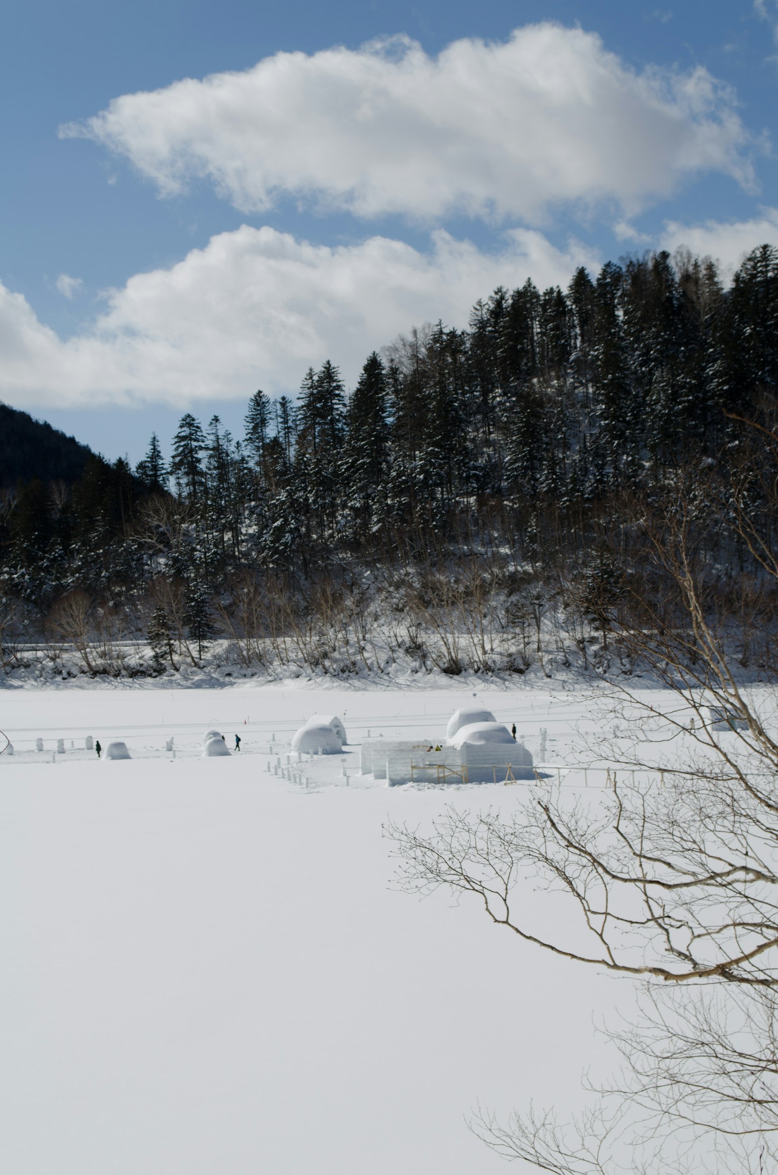 Snow-covered landscape with blue sky and trees in the background
