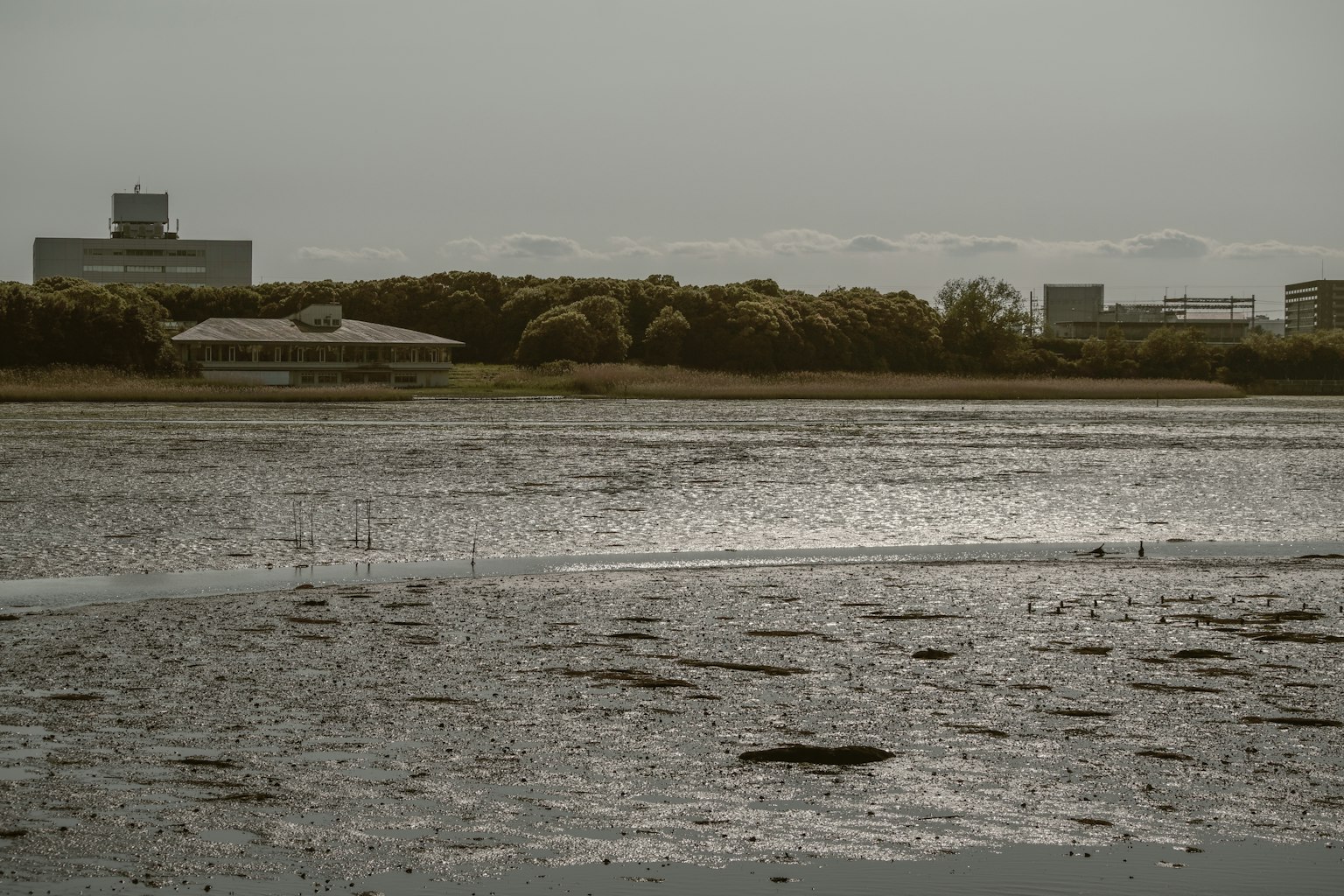 Calm water surface with distant buildings visible