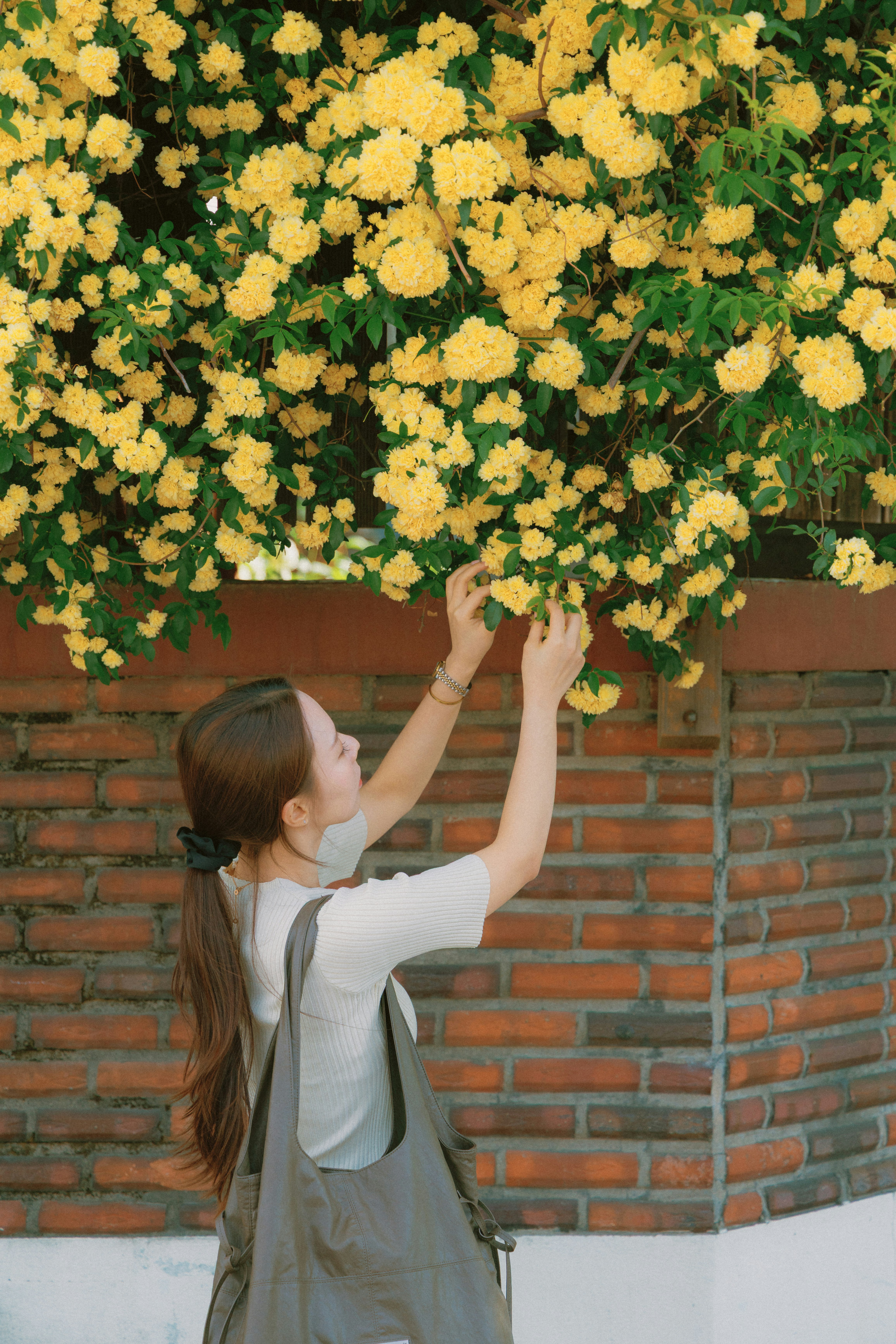 người vợ cầm bó hoa trước bức tường gạch, không khí mùa xuân tháng 4