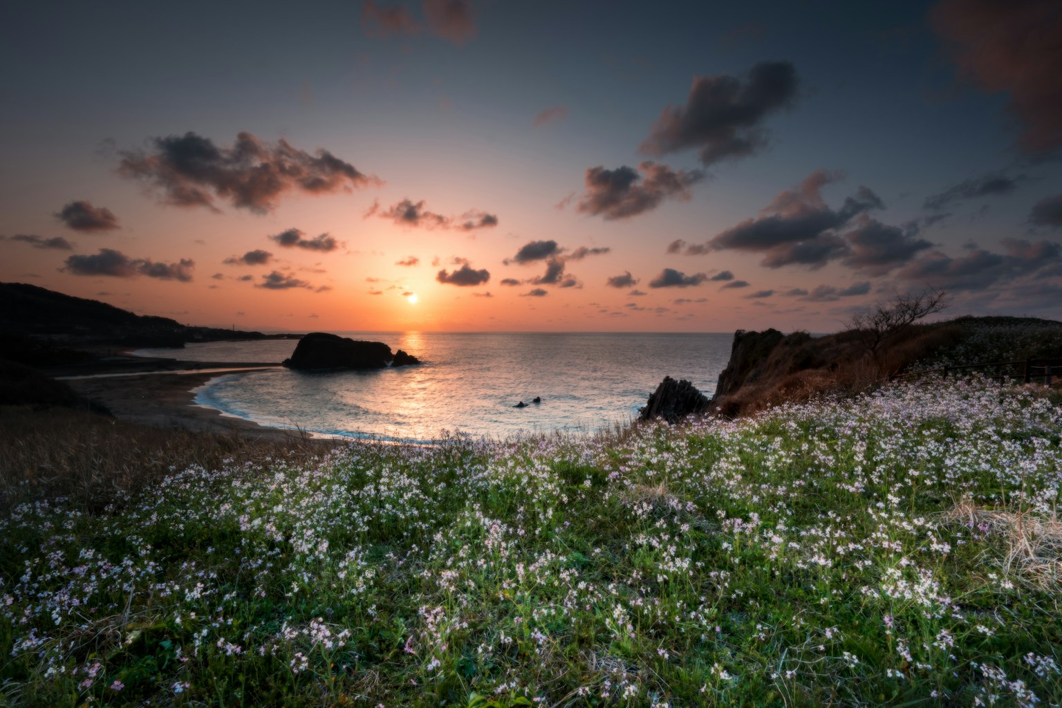 Schöne Küstenlandschaft mit weißen Blumen und einem Sonnenuntergang