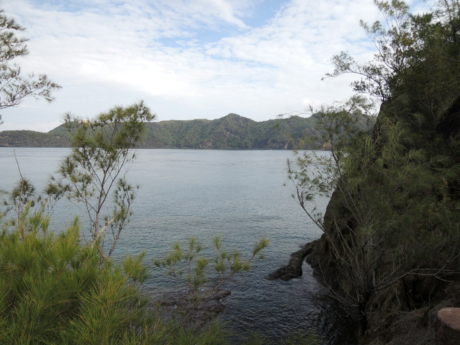 寧靜的海景背景是山岸邊郁郁蔥蔥的植被