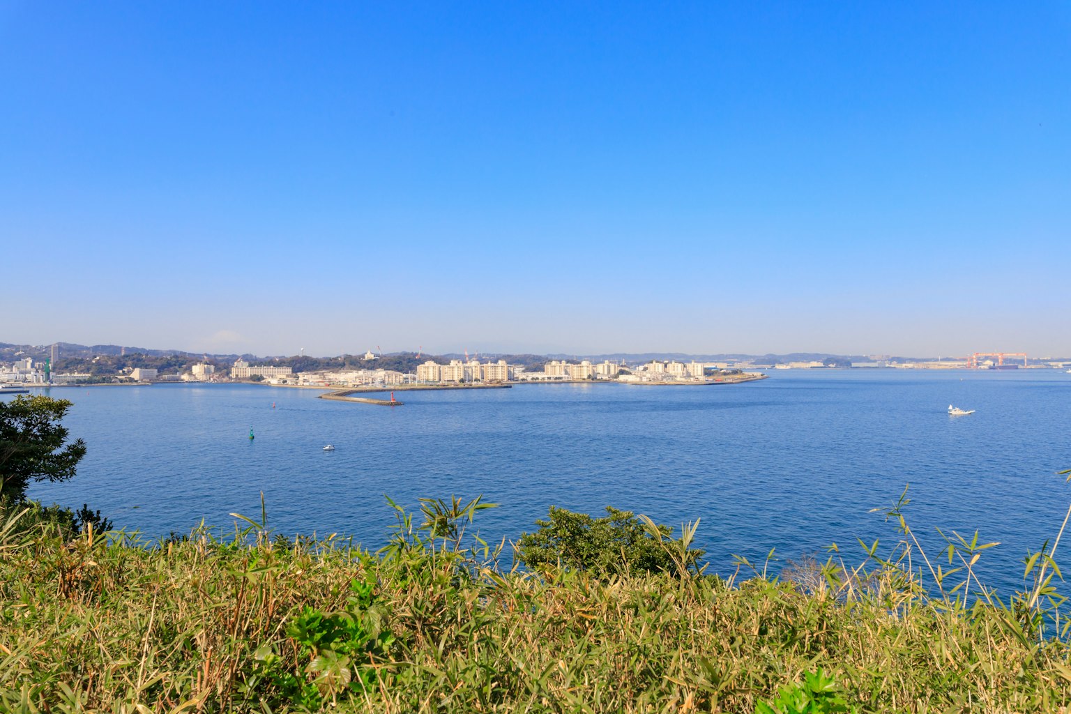 Vista panoramica del cielo blu e del mare con edifici costieri e vegetazione