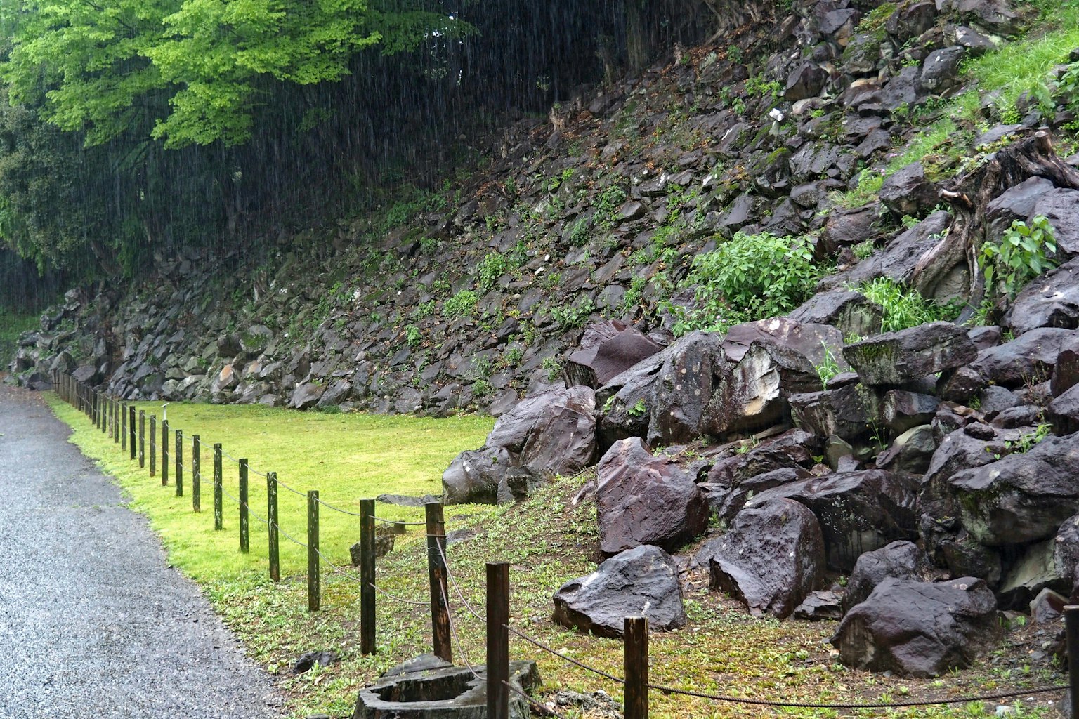 雨天景觀，綠色樹木和岩石山坡