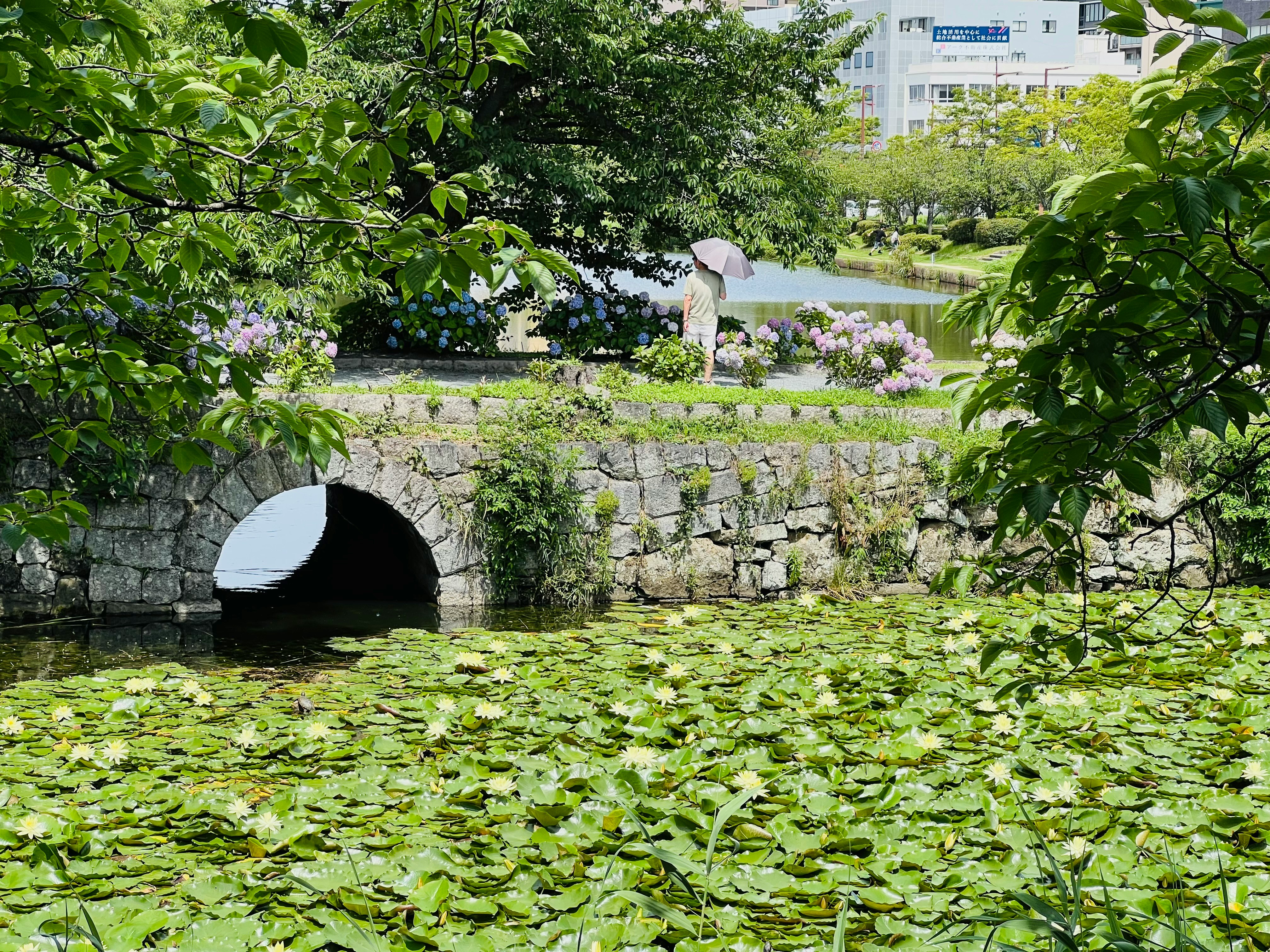 緑の水辺に浮かぶ小さな石橋とアーチ状のトンネル