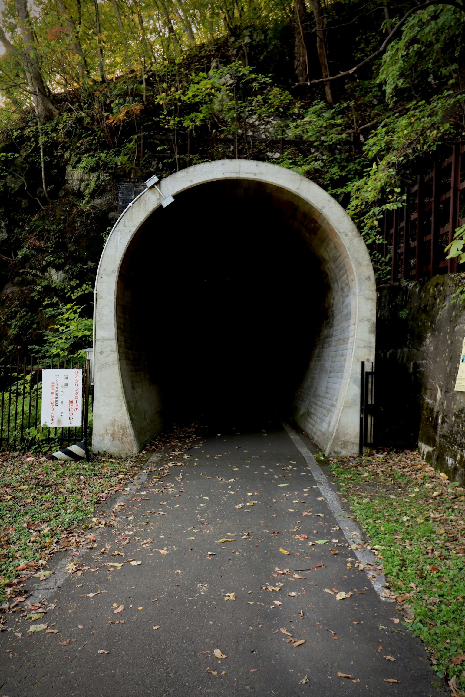 Entrata di un tunnel buio circondata da vegetazione lussureggiante