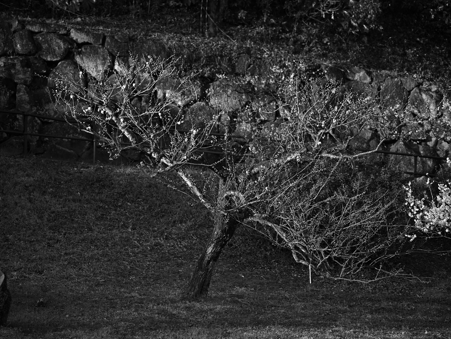 photo-62kmjVDxJai4schau7w2-image