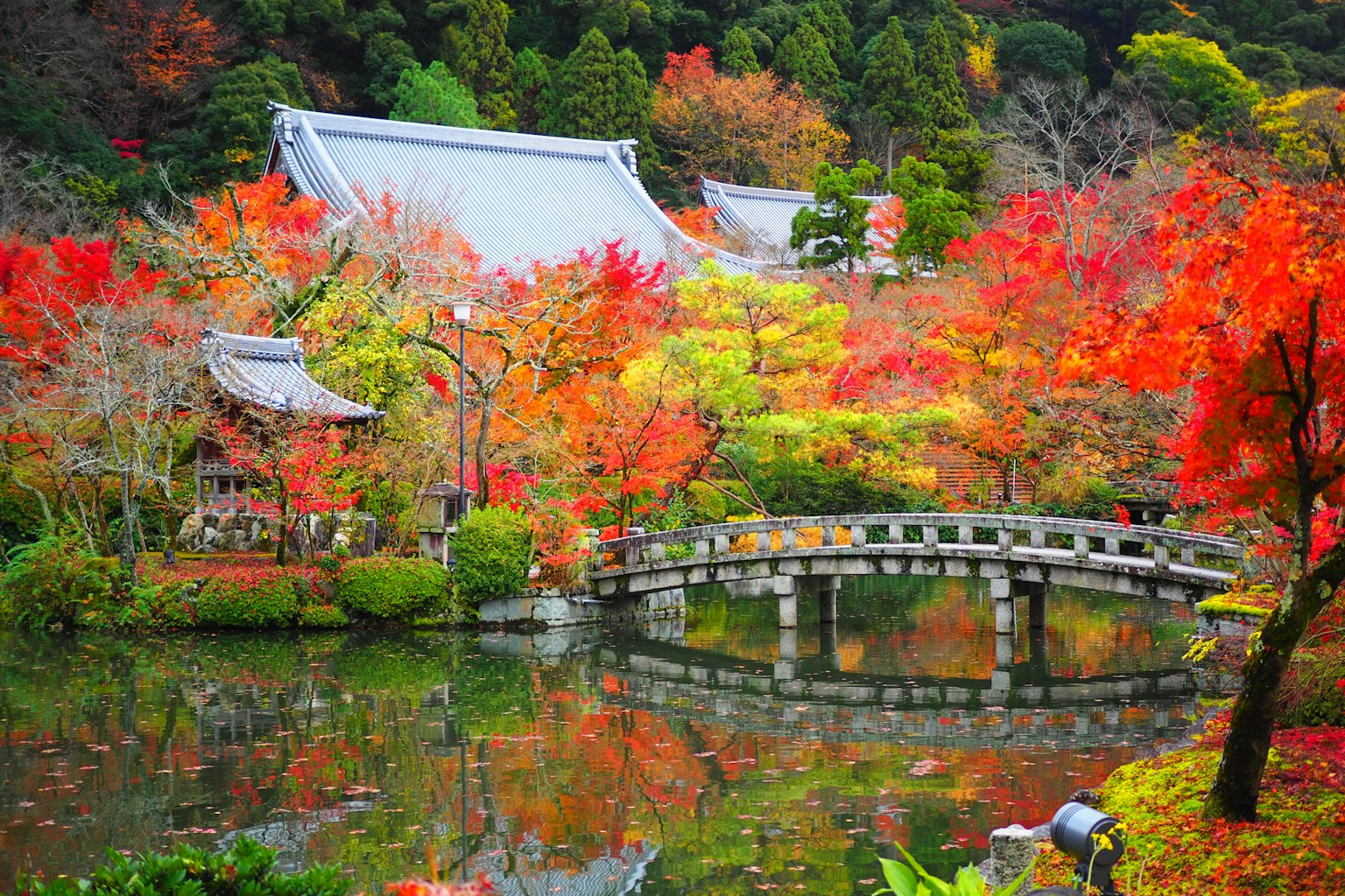 Giardino giapponese con fogliame autunnale vibrante che presenta un ponte e un tempio
