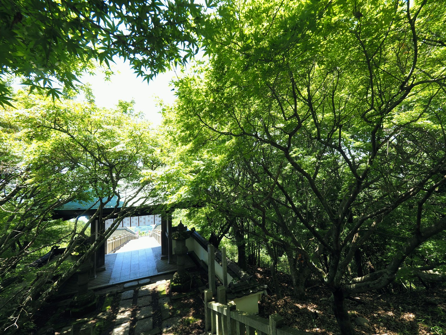 Sentiero circondato da vegetazione lussureggiante con un edificio a finestra aperta
