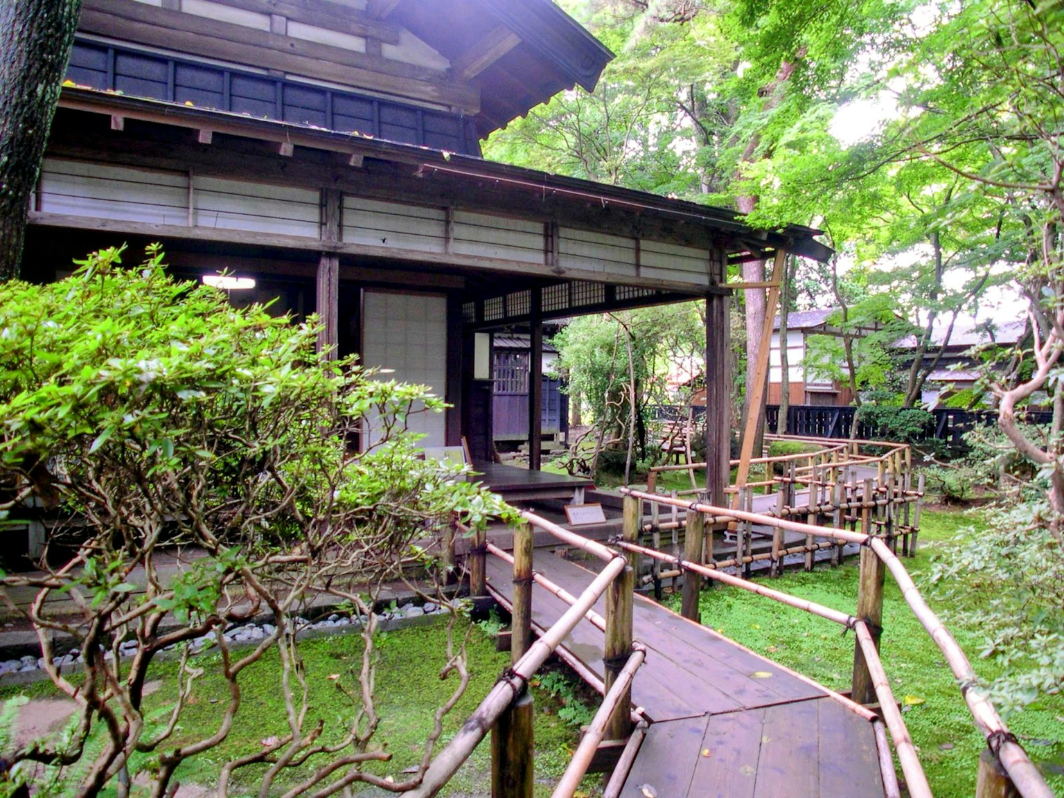 传统日本房屋和花园场景特色绿色植物和竹子小道