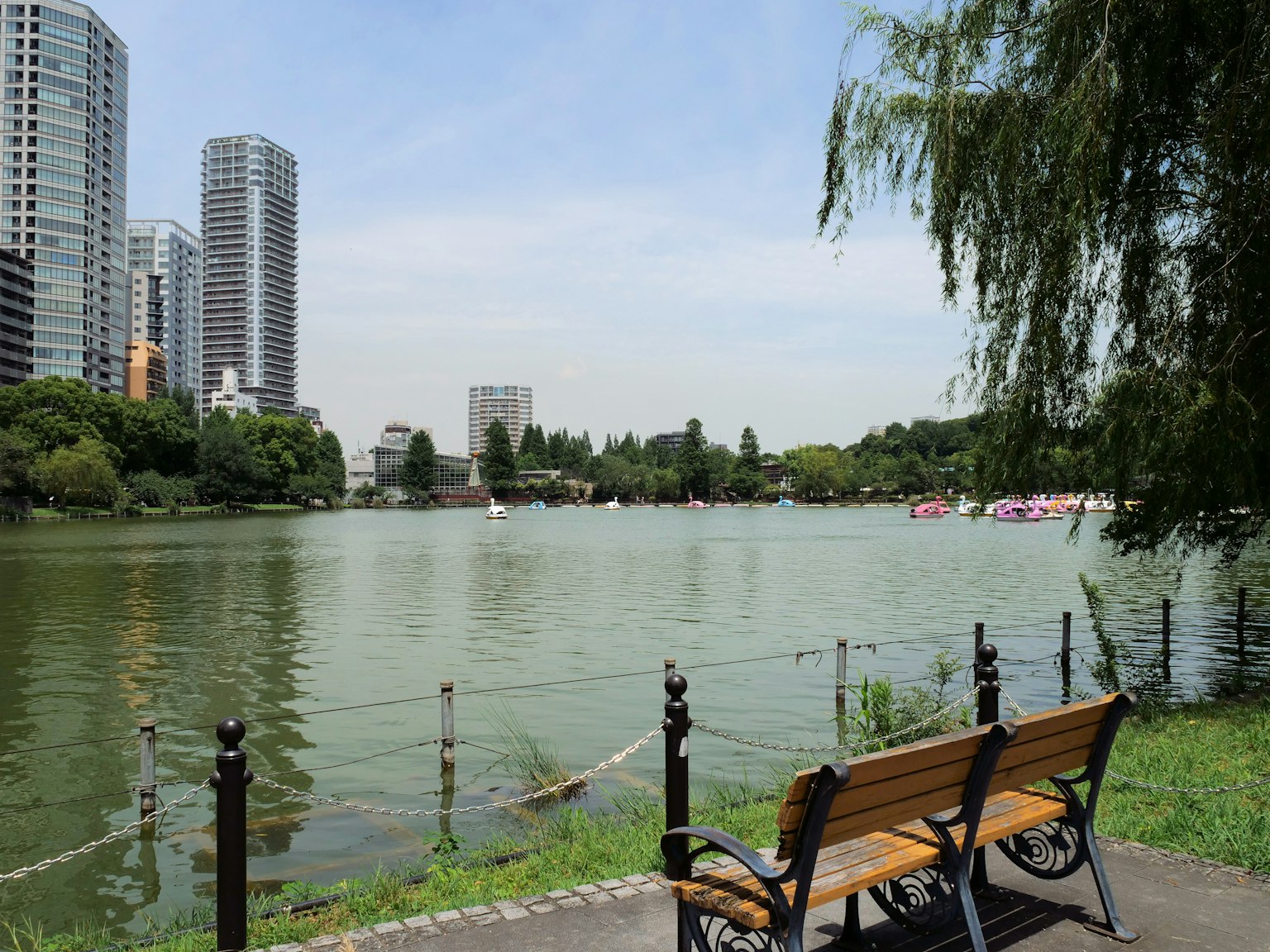 Malersicher Blick auf einen Parksee mit einer Bank und Hochhäusern