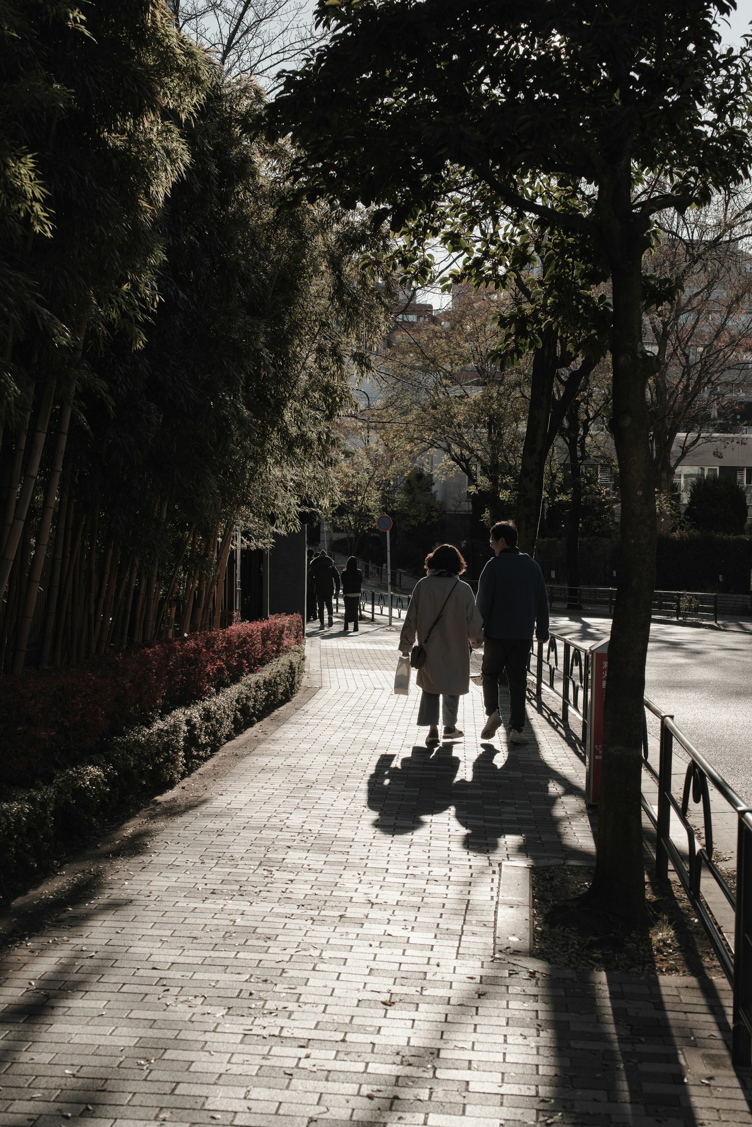 在安靜公園小道上行走的兩個人的剪影