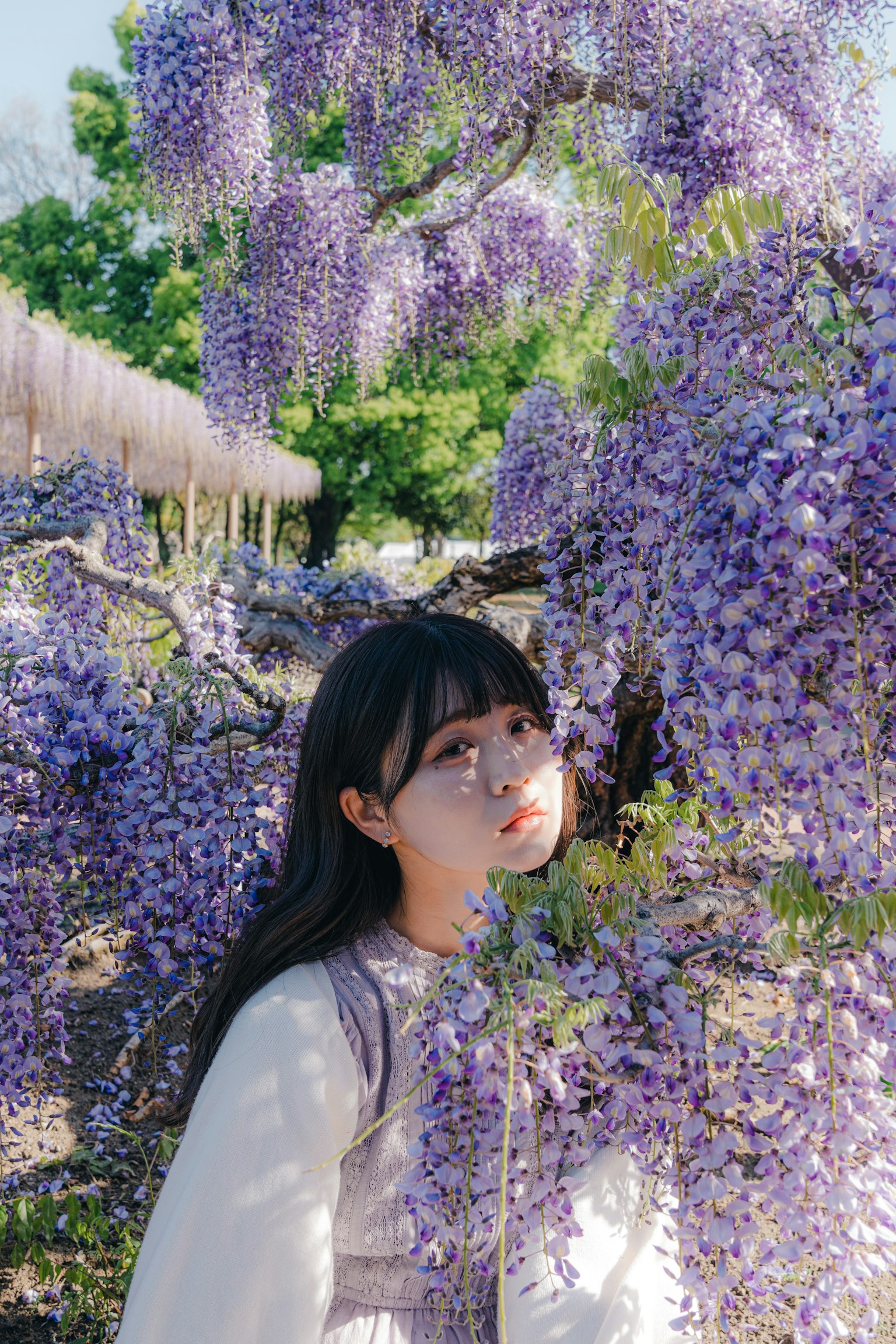 紫色藤花前的年轻女性肖像