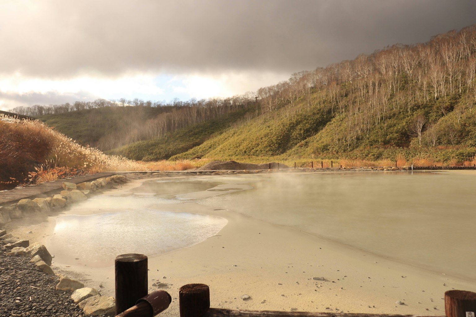 Paisaje con un estanque de aguas termales que emite vapor, rodeado de montañas y árboles secos