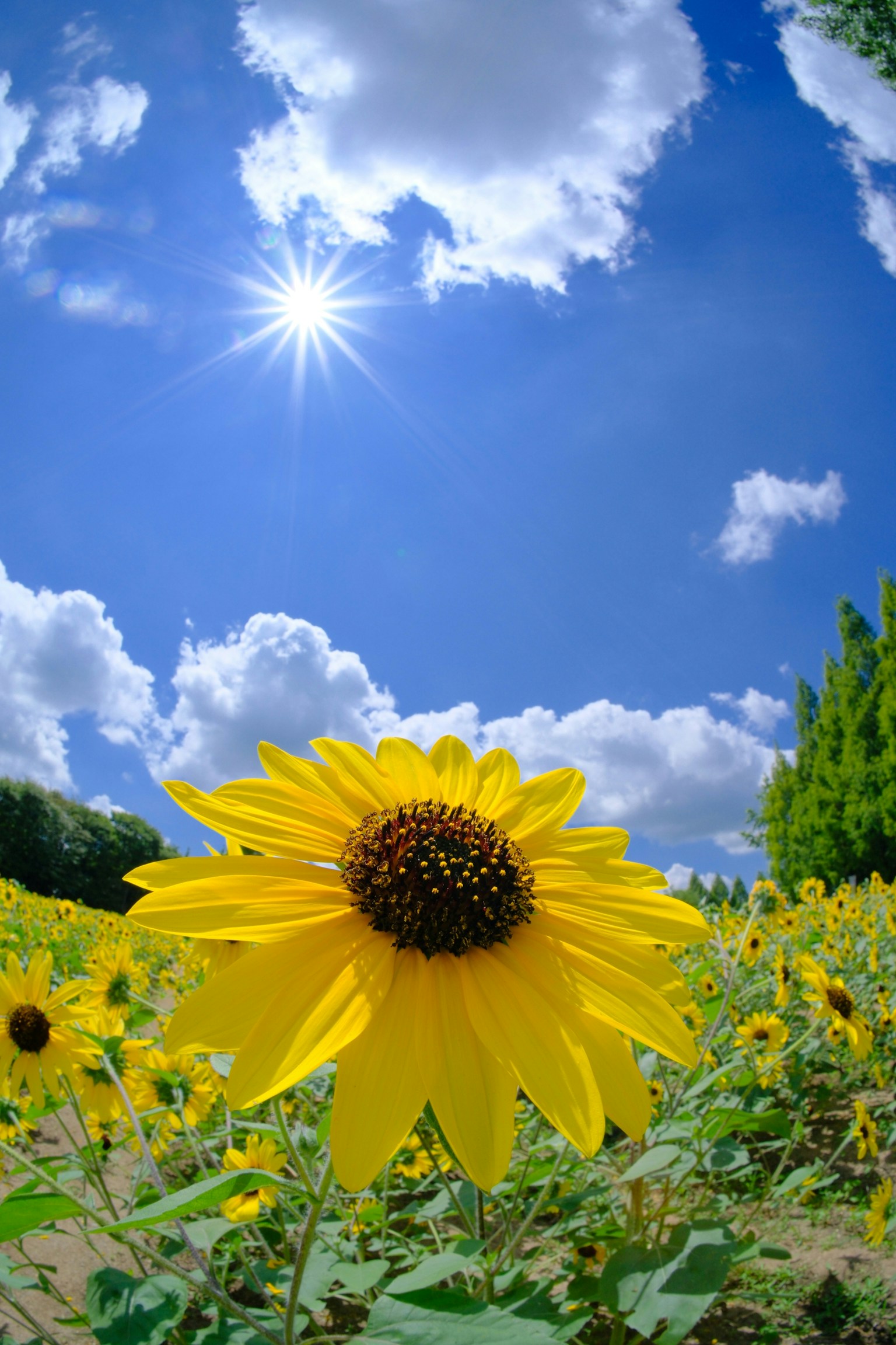 photo-64sVhxnXZWnPscUqJ2S7-image