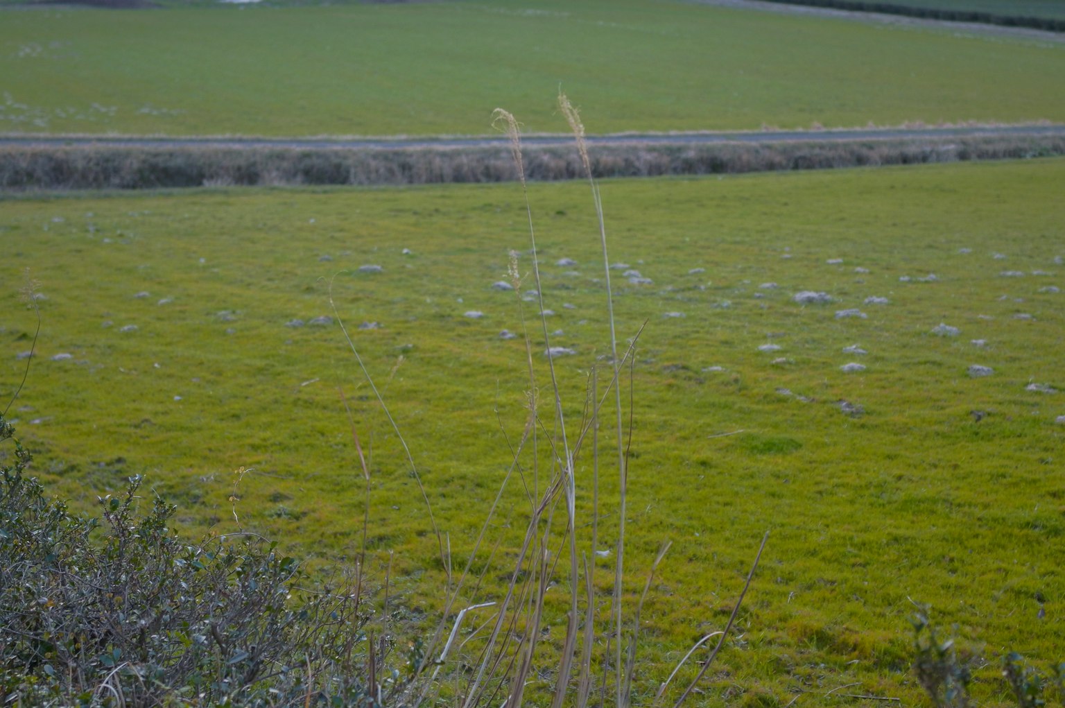 photo-64uqfBSY4L8dCbkLCfjM-image