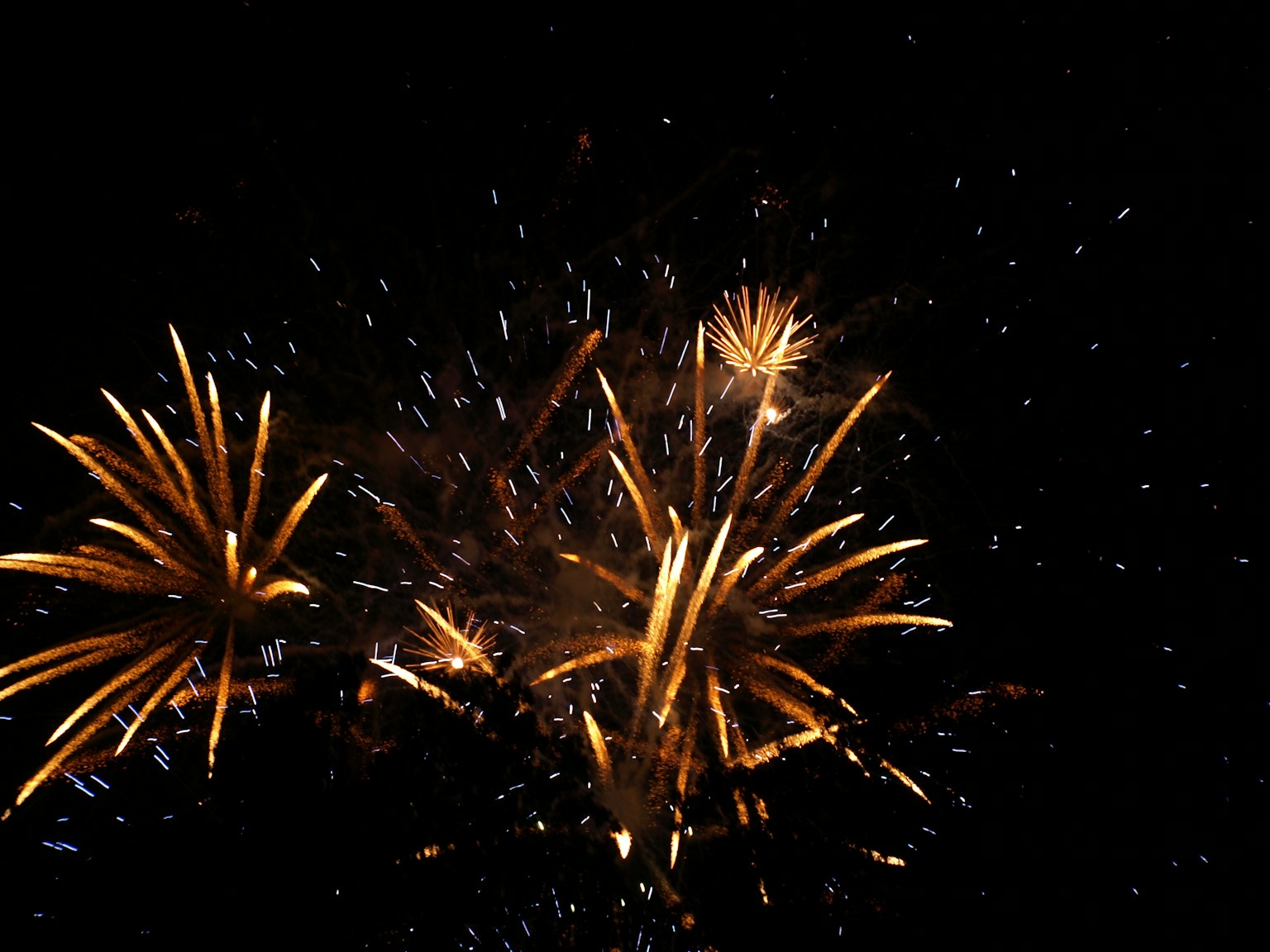 Golden fireworks bursting in the night sky
