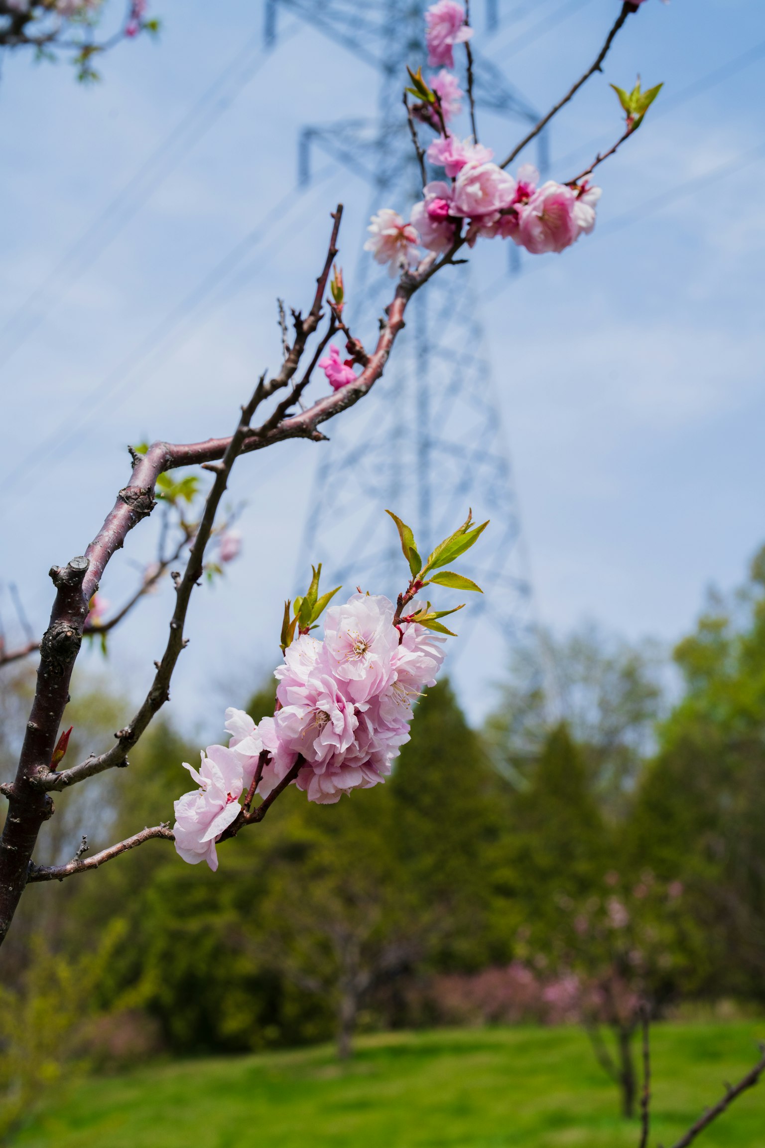 photo-652dV472Nxt1QL4niC6V-image