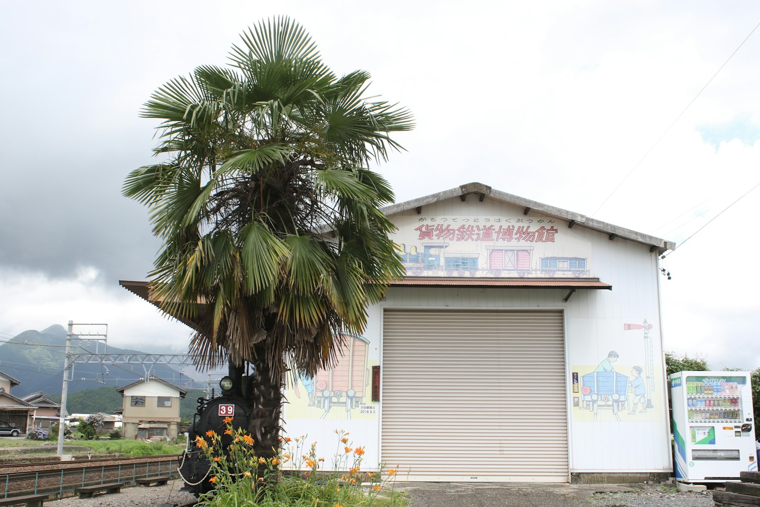 Scène de campagne avec un palmier et un bâtiment blanc