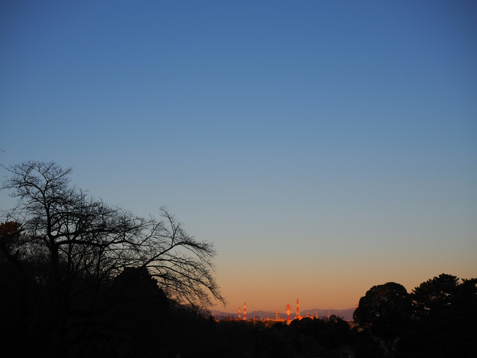 Twilight sky with silhouetted trees and distant sunset